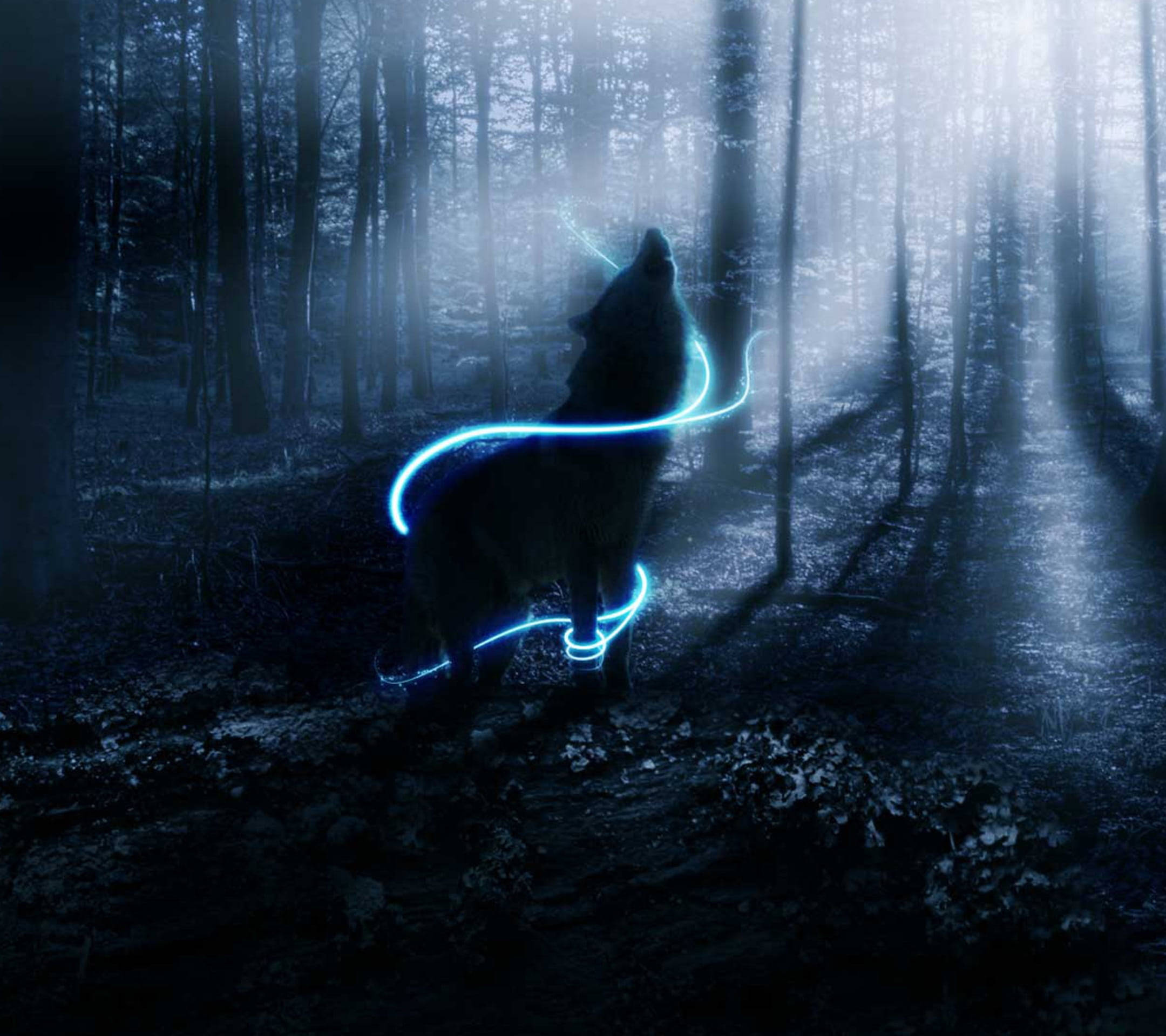 Lup anime albastru neon în pădure eterică Fundal