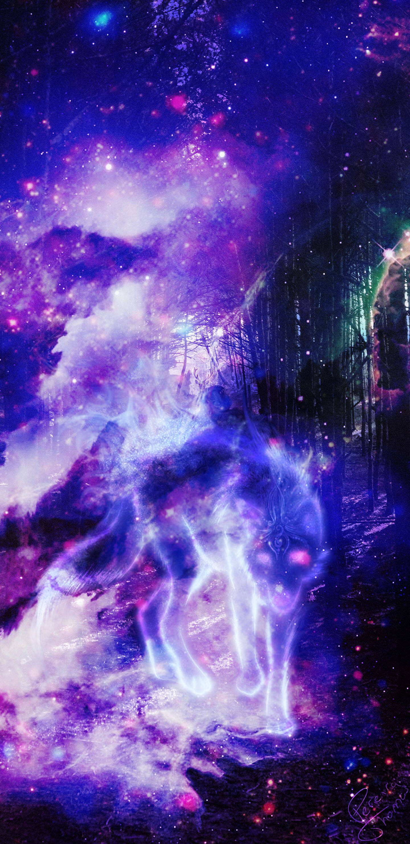Lup galactic în pădure ilustrație artistică Fundal