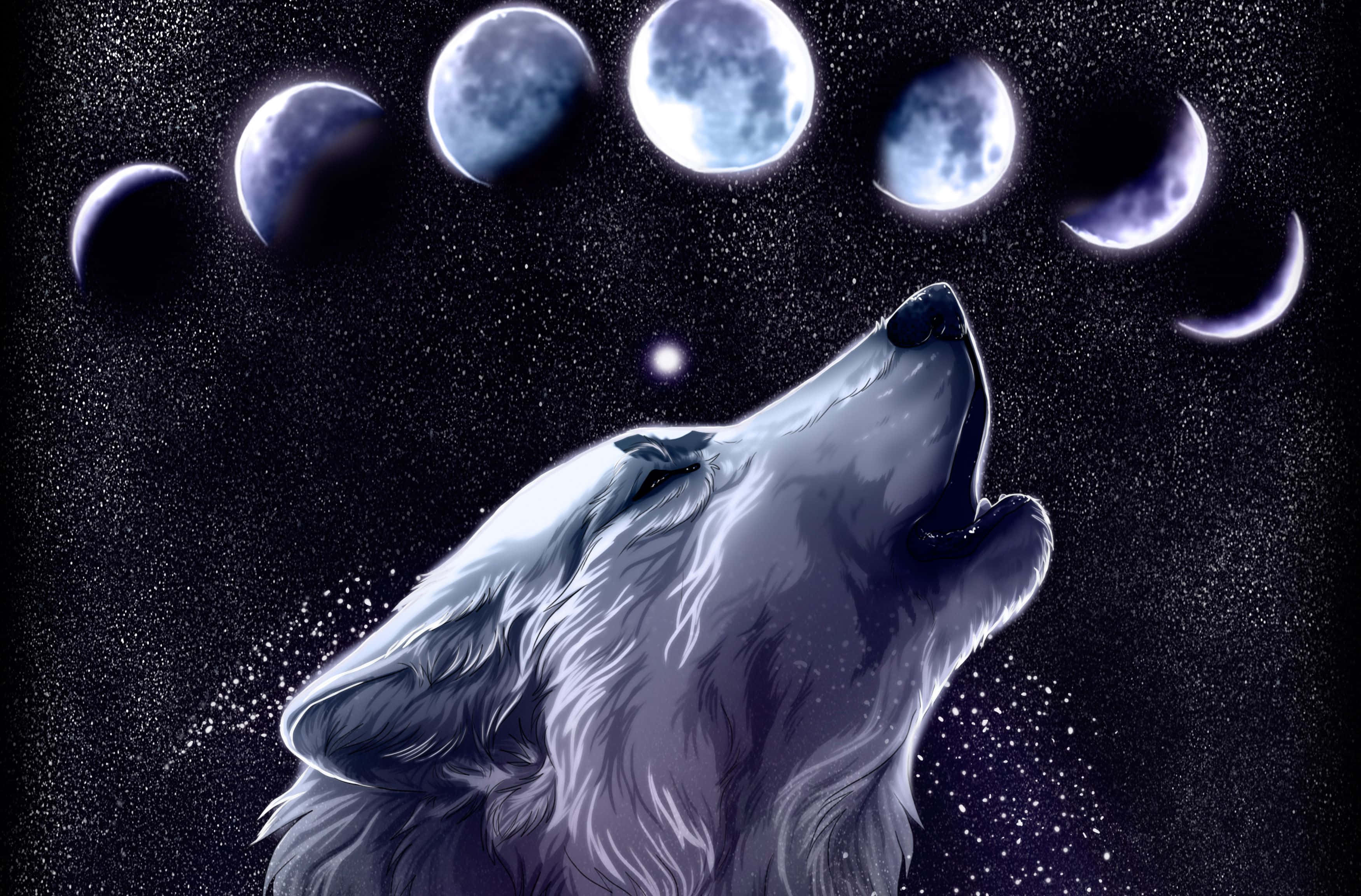 Lup galactic vibrant pe fundal întunecat Fundal