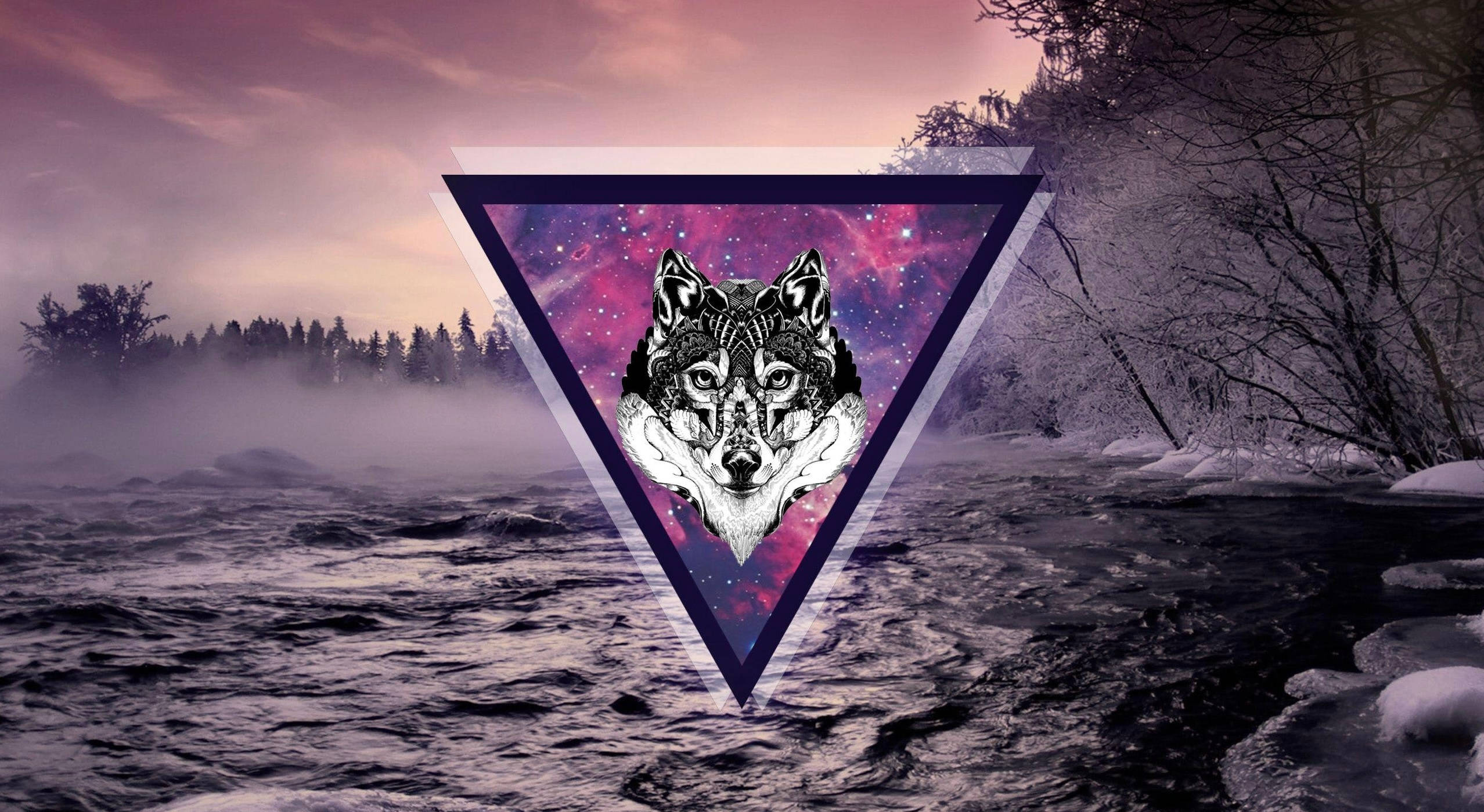 Lup Galactic Violet Fundal