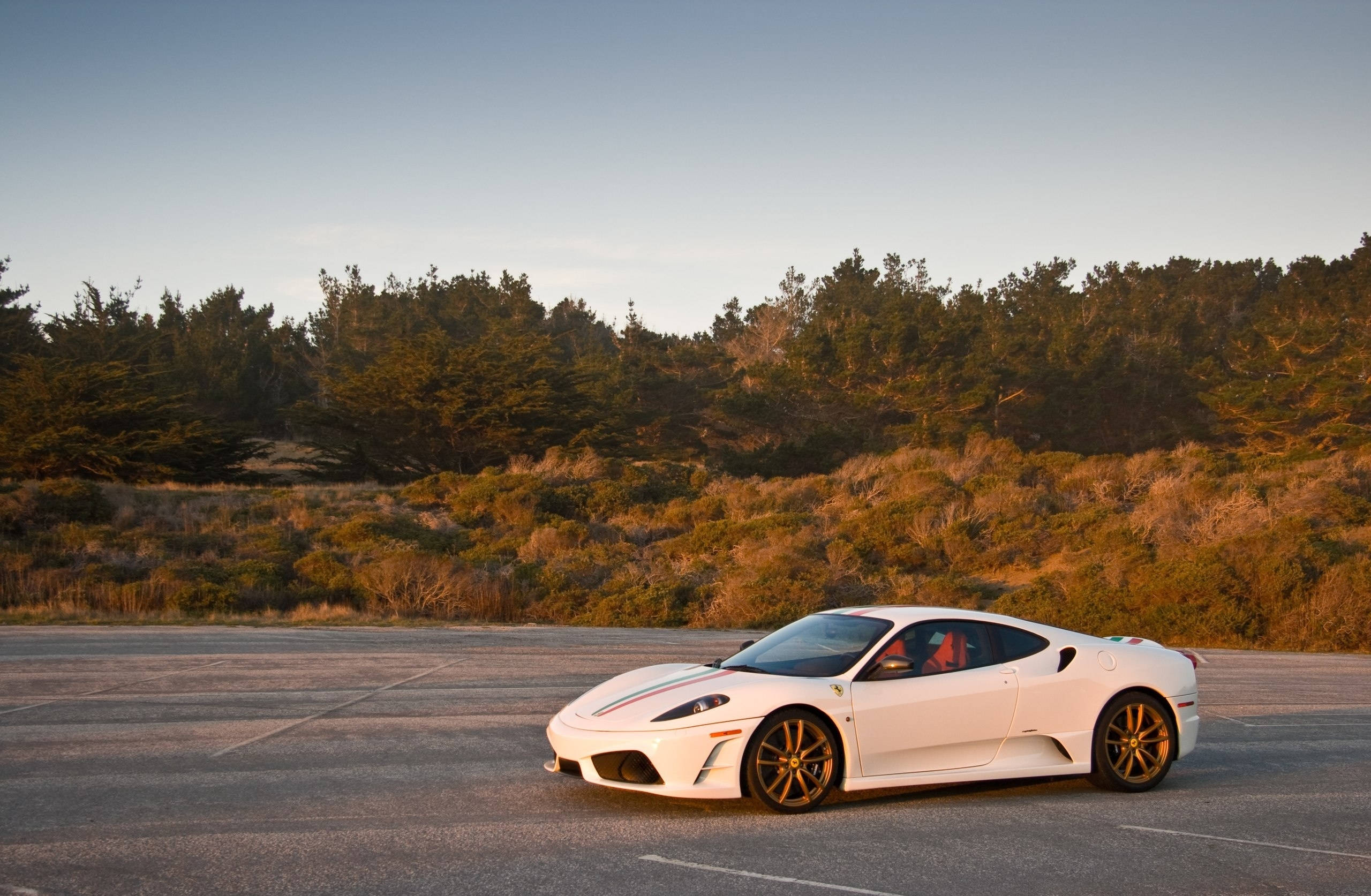 Luxoasa Ferrari F430 Scuderia albă Fundal