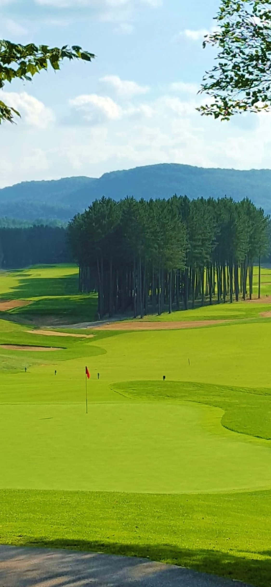 Bucurându-mă de o zi minunată la terenul de golf cu iPhone X! Fundal