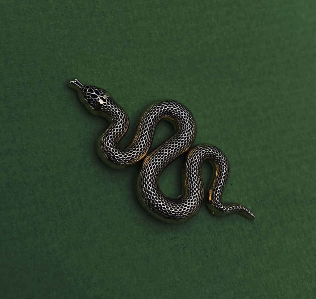 Magia Secretă și Antică a Esteticii Slytherin Fundal
