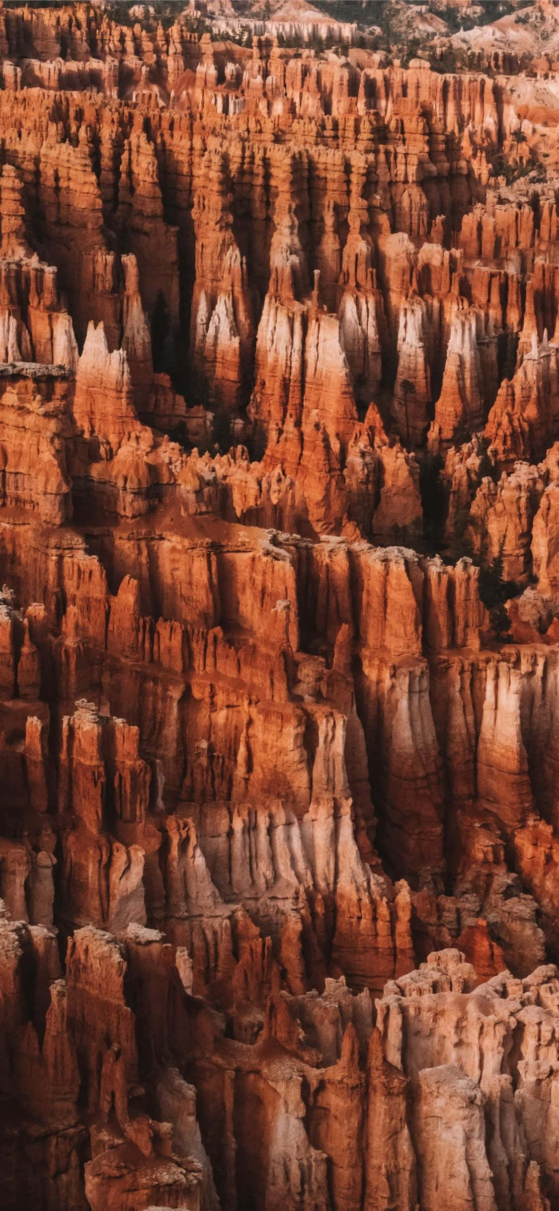 Magnificii vârfuri roșii din Parcul Național Bryce Canyon Fundal