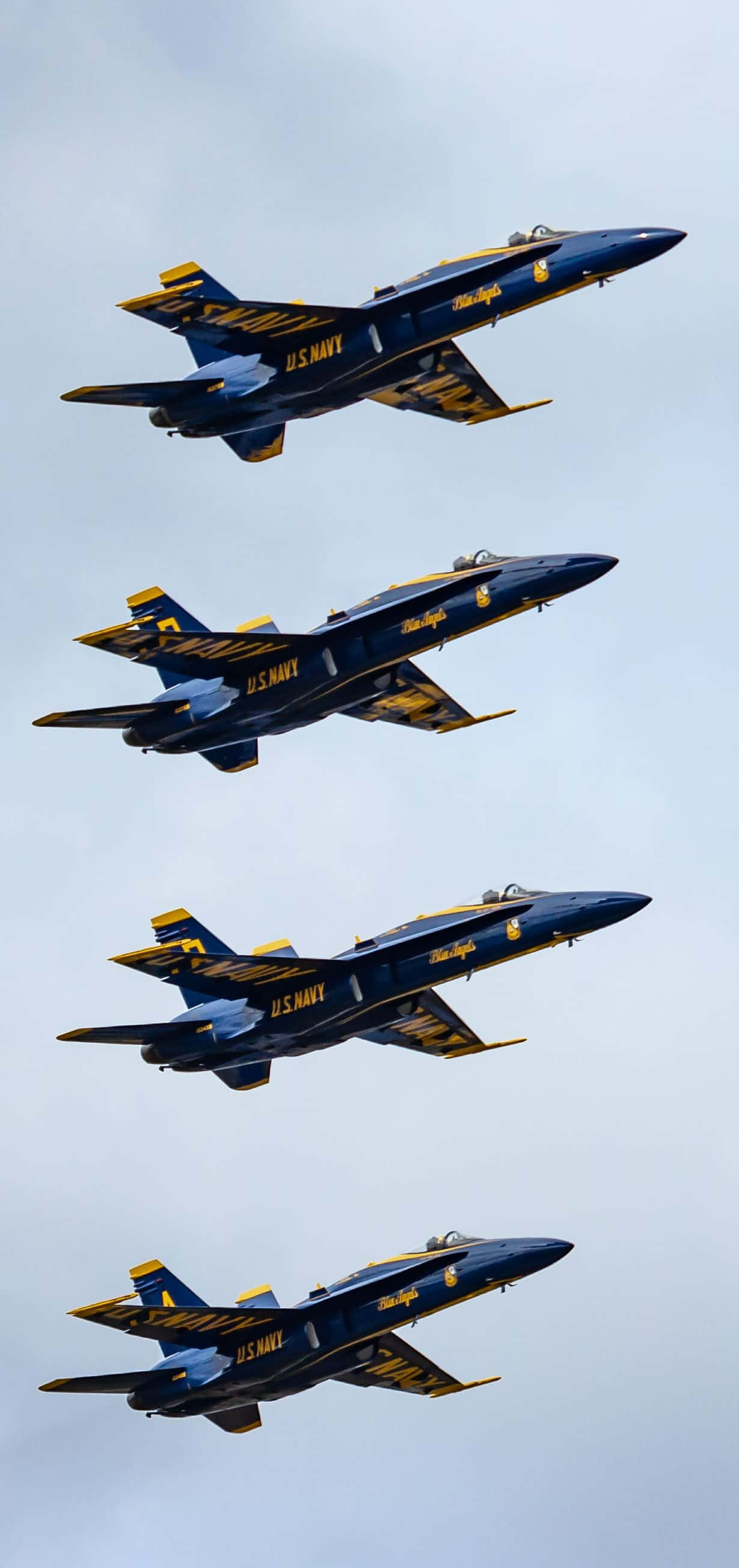 Majesticii Blue Angels în zbor Fundal