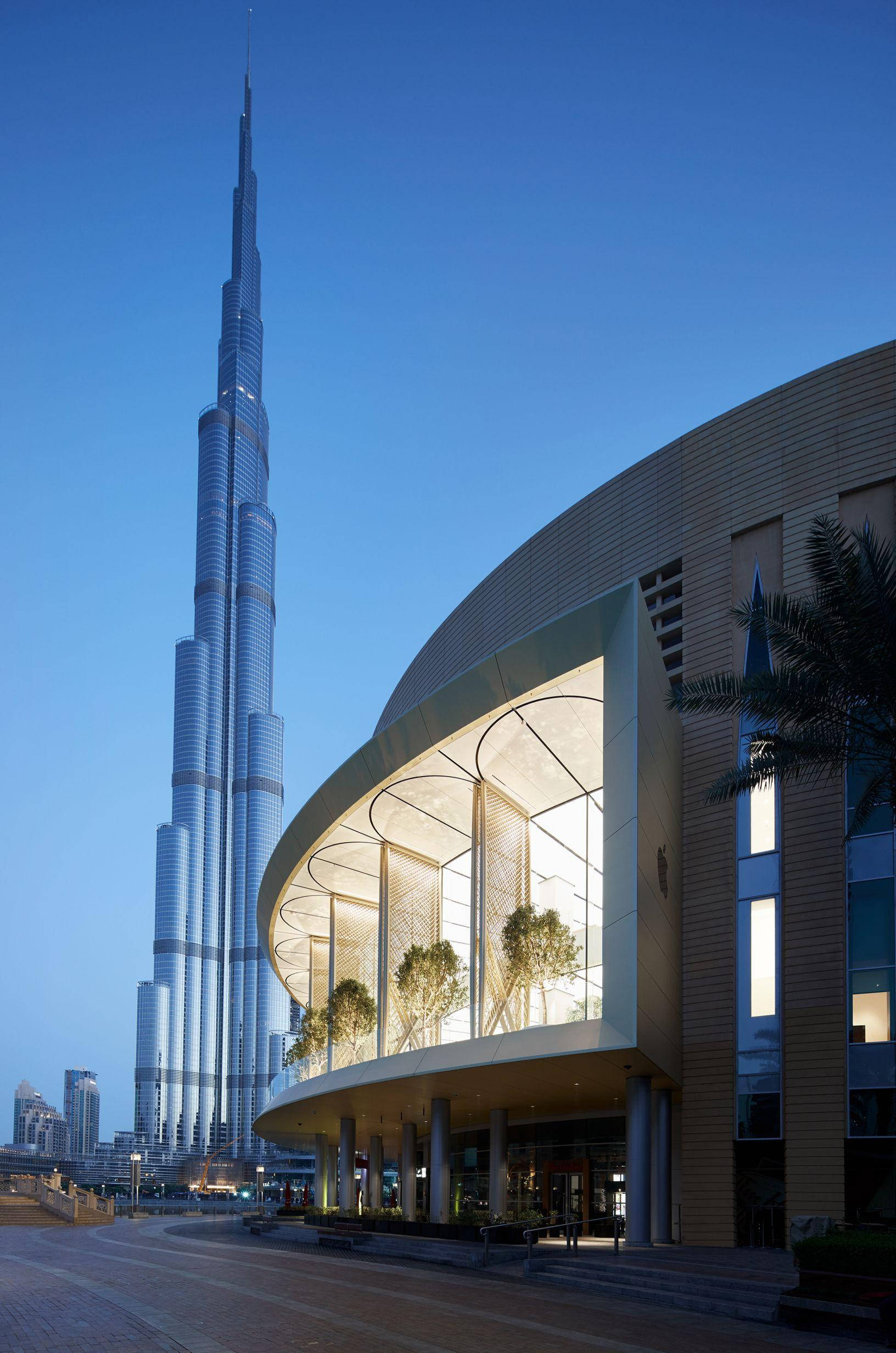 Mall Apple Dubai Shopping Center Fundal