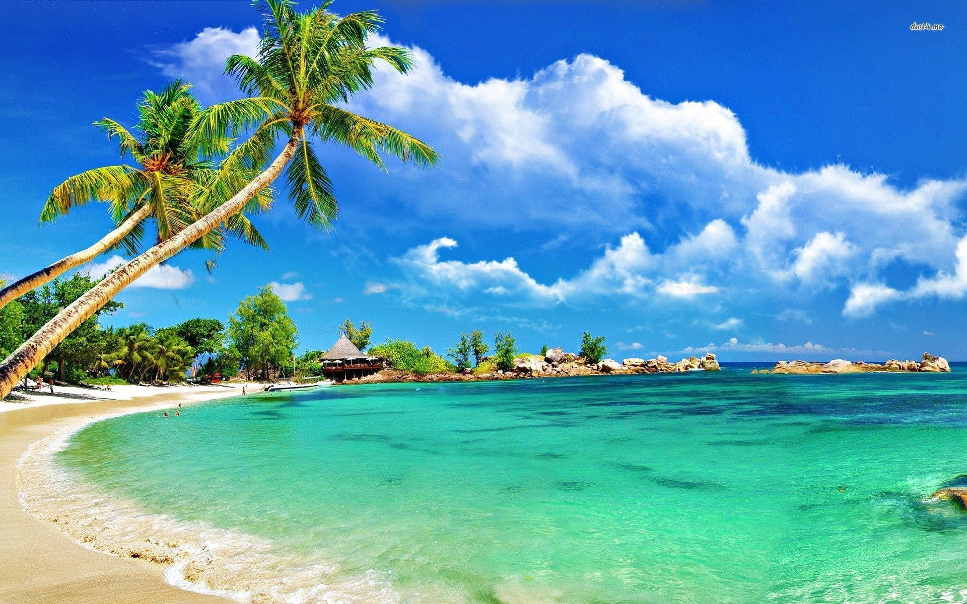Malul tropical al golfului Montego Bay Fundal