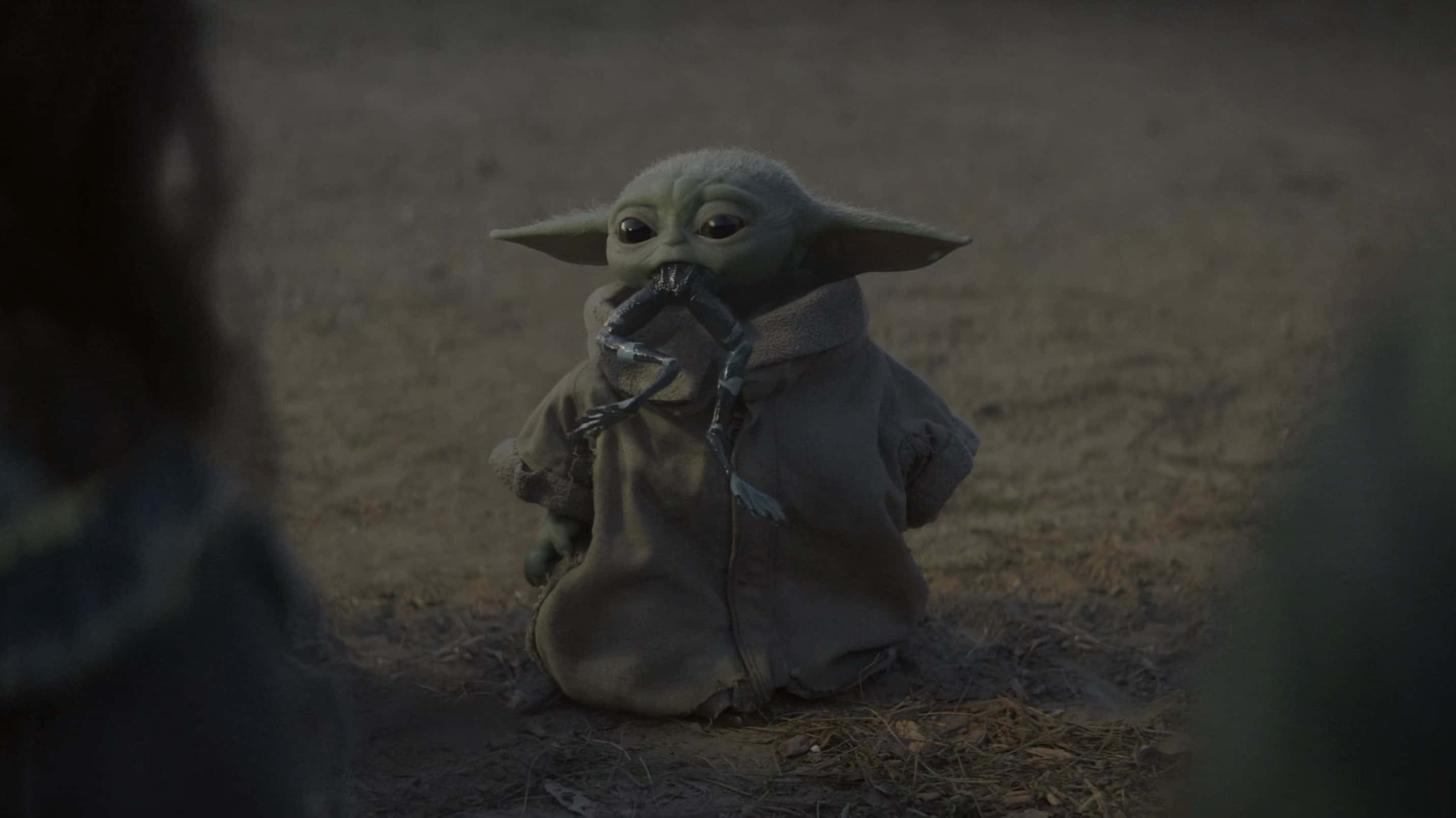 Mandalorian Yoda mușcând picioare de broască Fundal