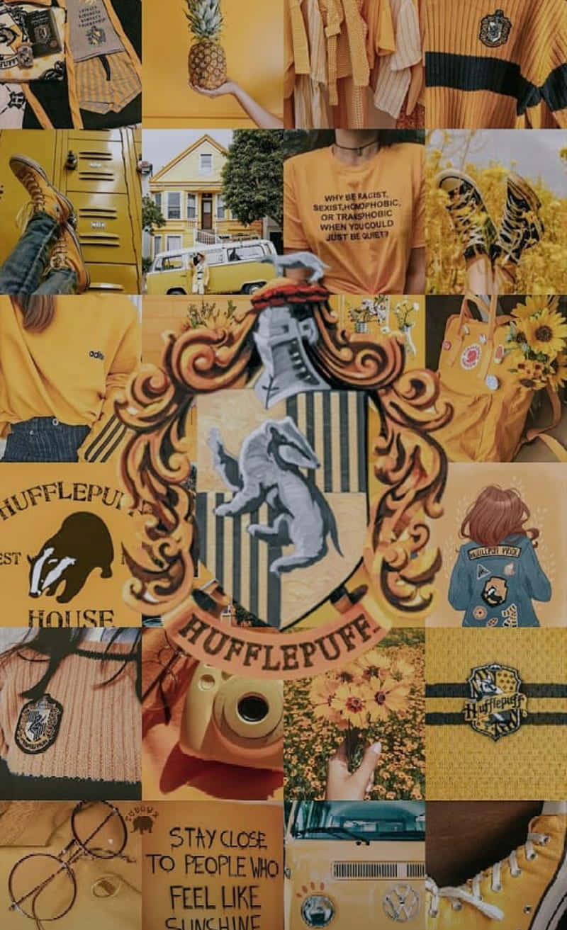 Mândria Casei Hufflepuff - Școala de Vrăjitorie și Magie Hogwarts Fundal