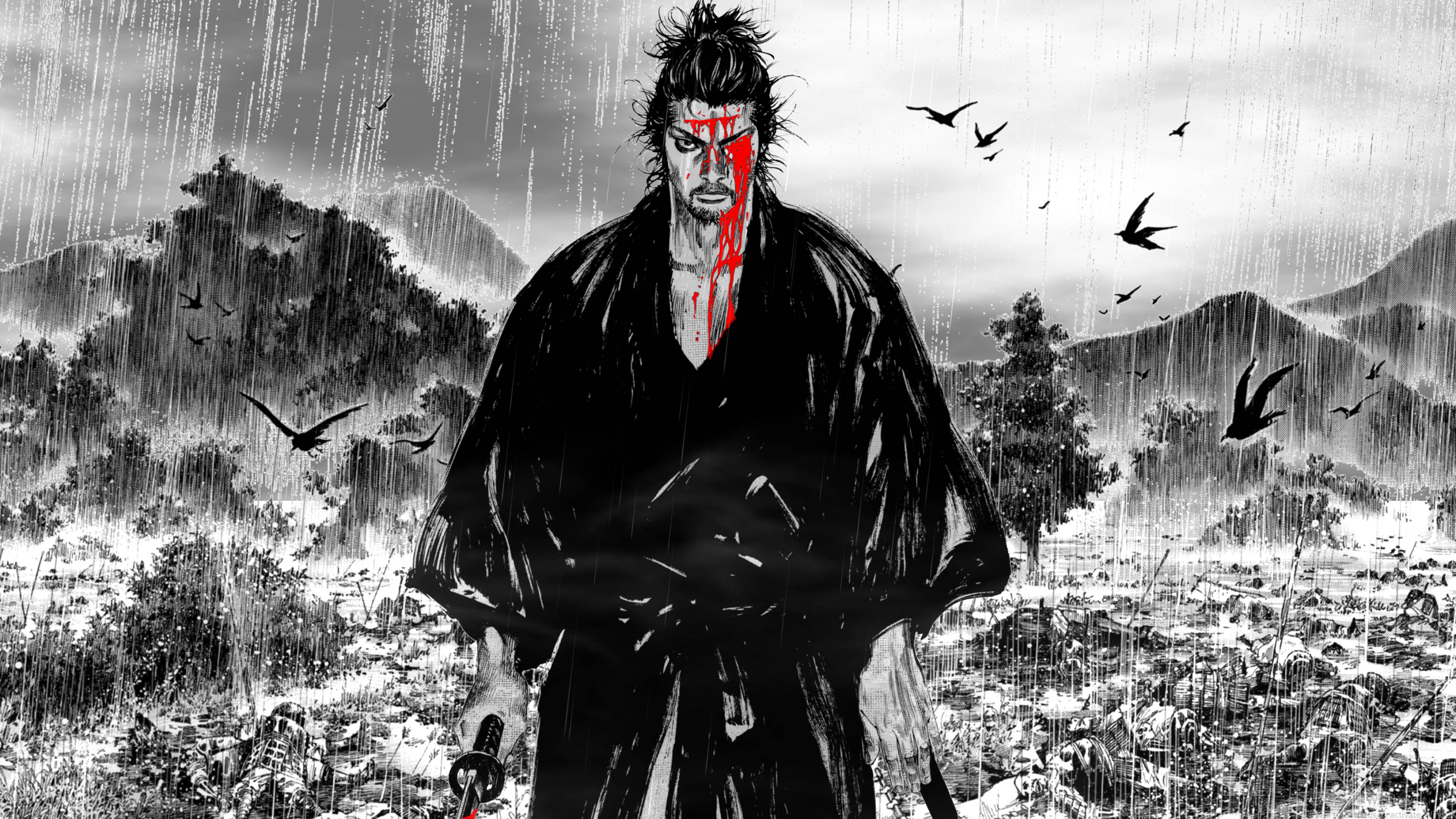 Manga Vagabond 4K Fundal