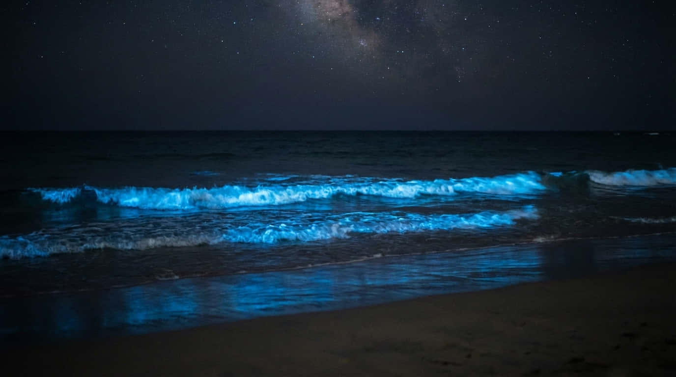 Ocean noaptea 4K, valuri albastre noaptea, fundal ocean noaptea, plajă Calea Lactee, plajă strălucitoare, valuri bioluminescente, Natură 4K, Natură, Plajă, Fundal Mare, Mare