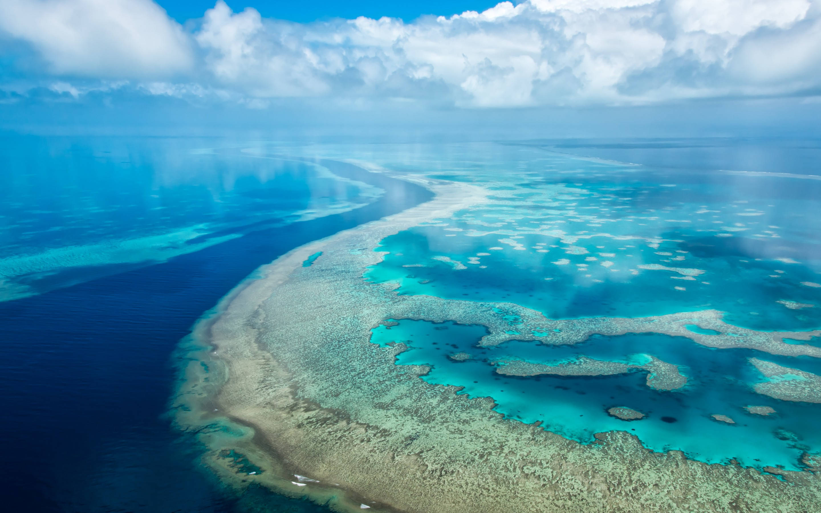 Marele Barrier Reef fundal Chromebook Fundal