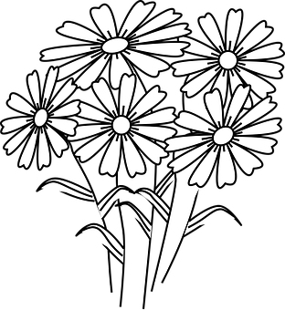 Margarită Vector Alb-Negru Fundal