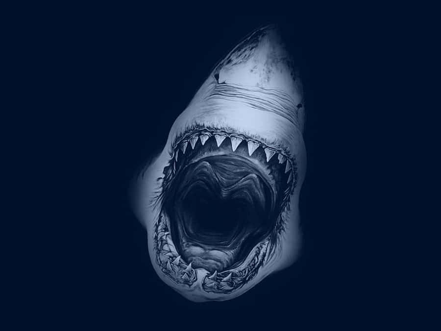 Megalodon Albastru Estetic Răcnet Fundal
