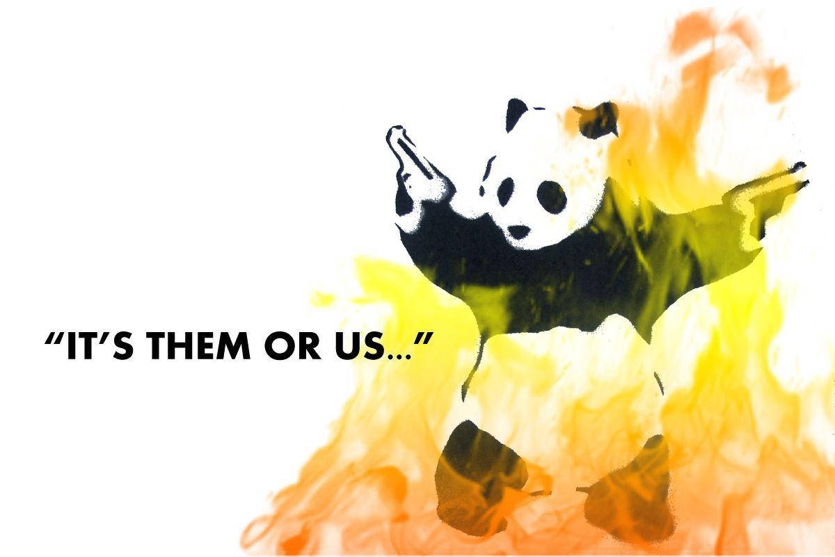 Meme Panda Nebun în Flăcări Fundal