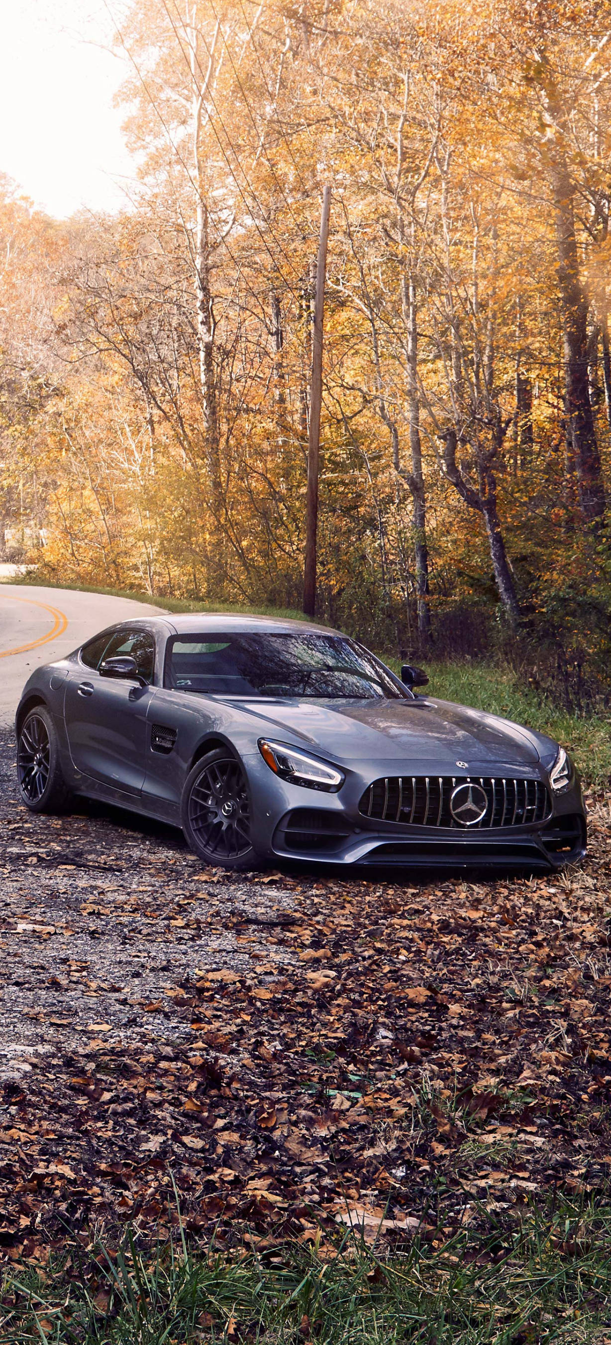 Mercedes AMG Copacii de Toamnă iPhone Fundal