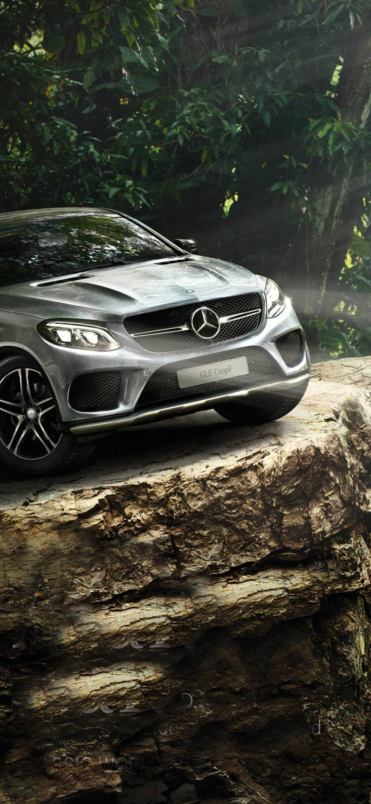 Mercedes iPhone X Forest Cliff Fundal