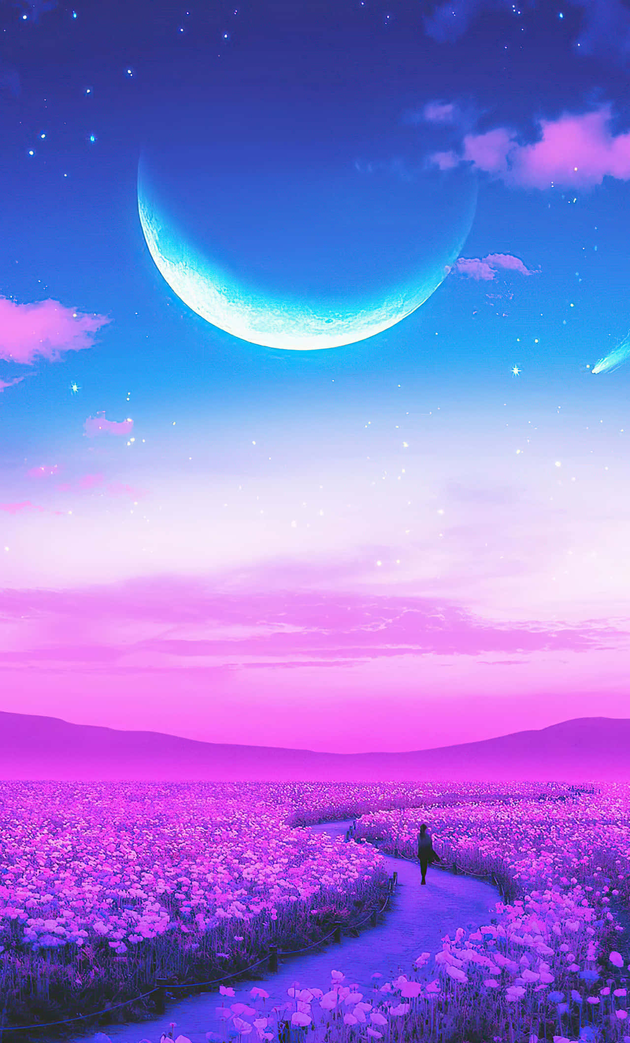 Walking Alone On A Lavender Field Art Fundal