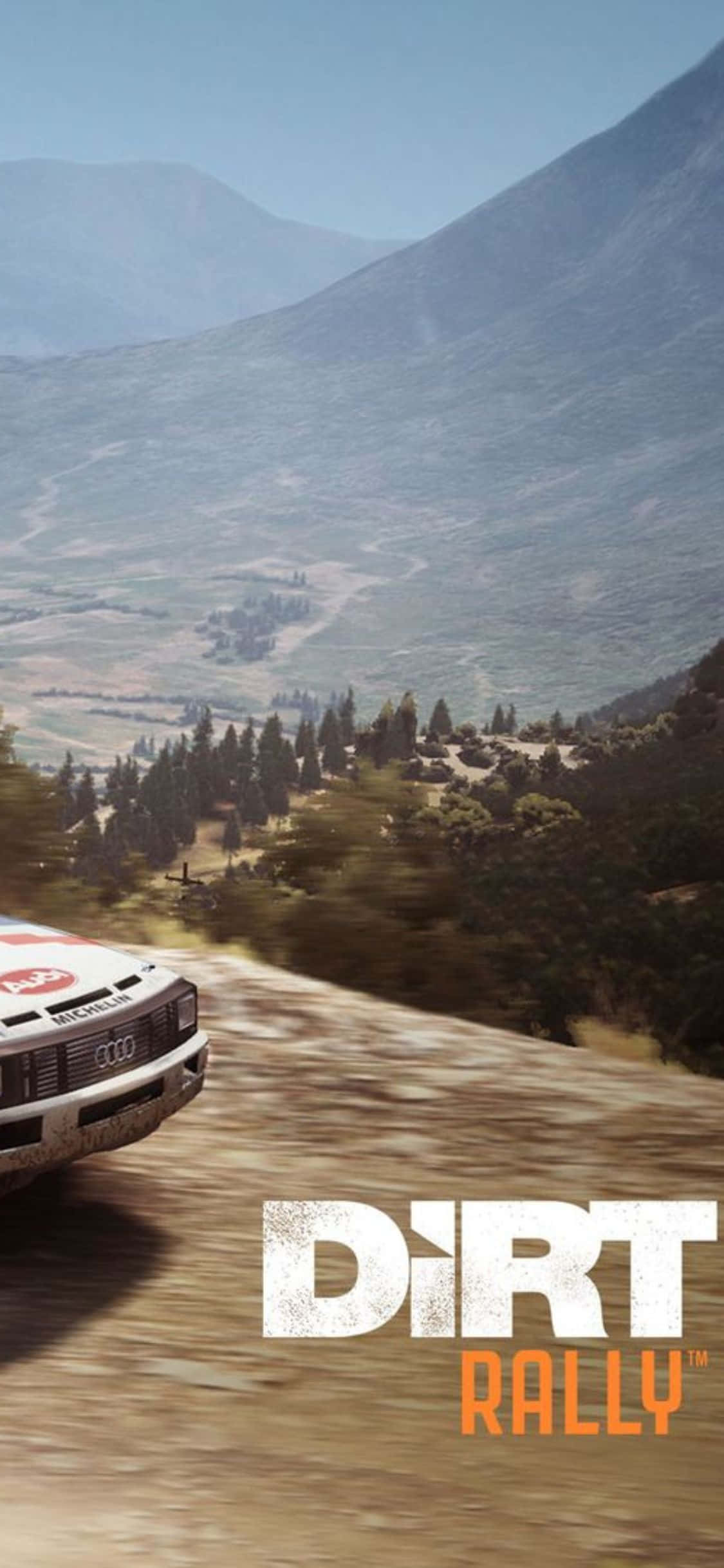 Mergi după aur: ducând cursele Dirt Rally la extrem Fundal