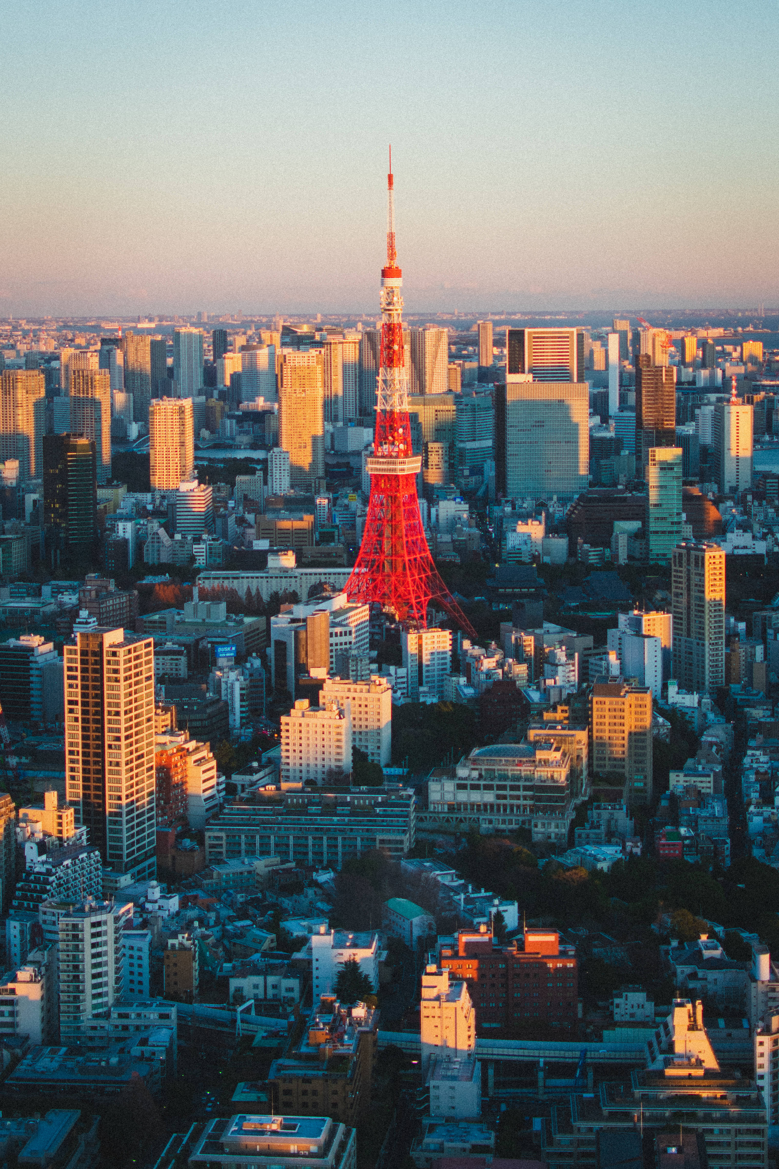 Metropola Tokyo și Turnul Roșu Tokyo Fundal