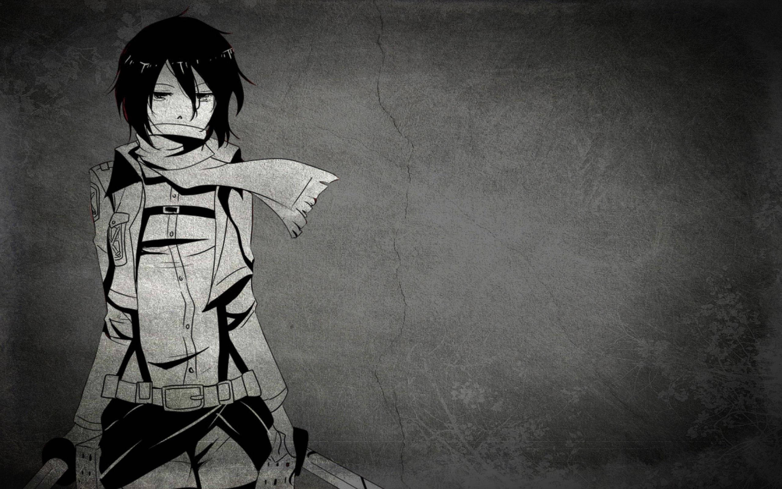 Mikasa Ackerman Anime Negru Fundal