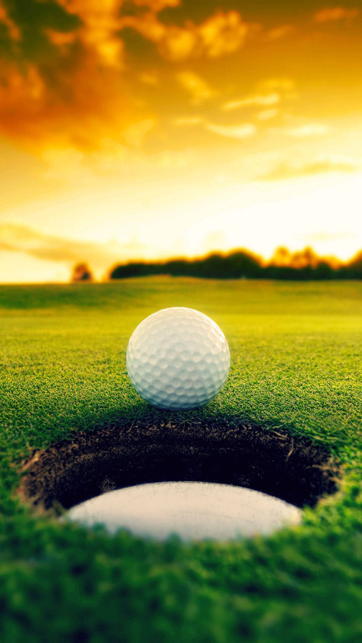 Minge de golf cool lângă poartă Fundal