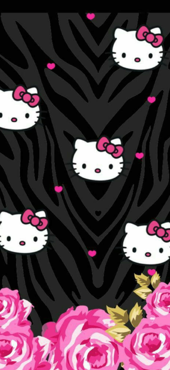 Model Animal Pe Negru Hello Kitty Fundal