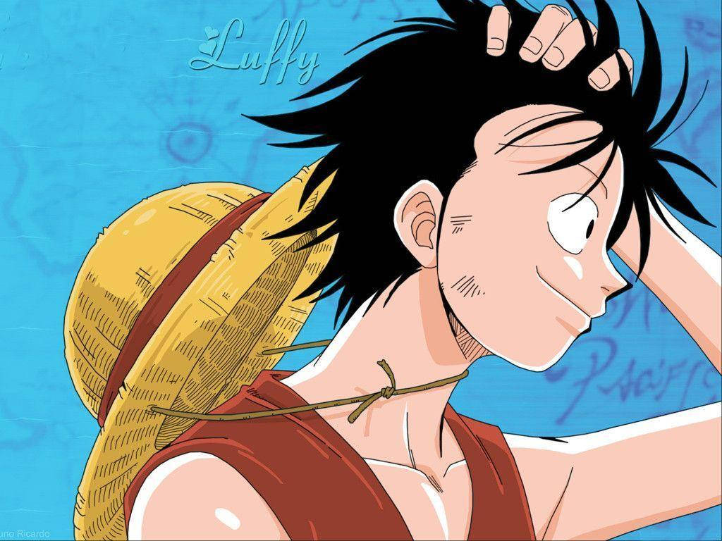 Monkey D Luffy din One Piece Fundal