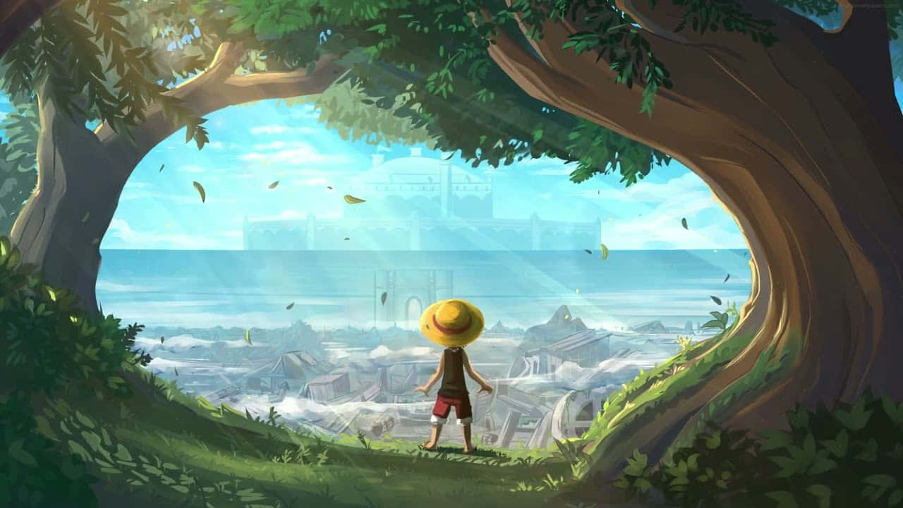 Monkey D. Luffy navighează pe Grand Line în căutarea One Piece Fundal