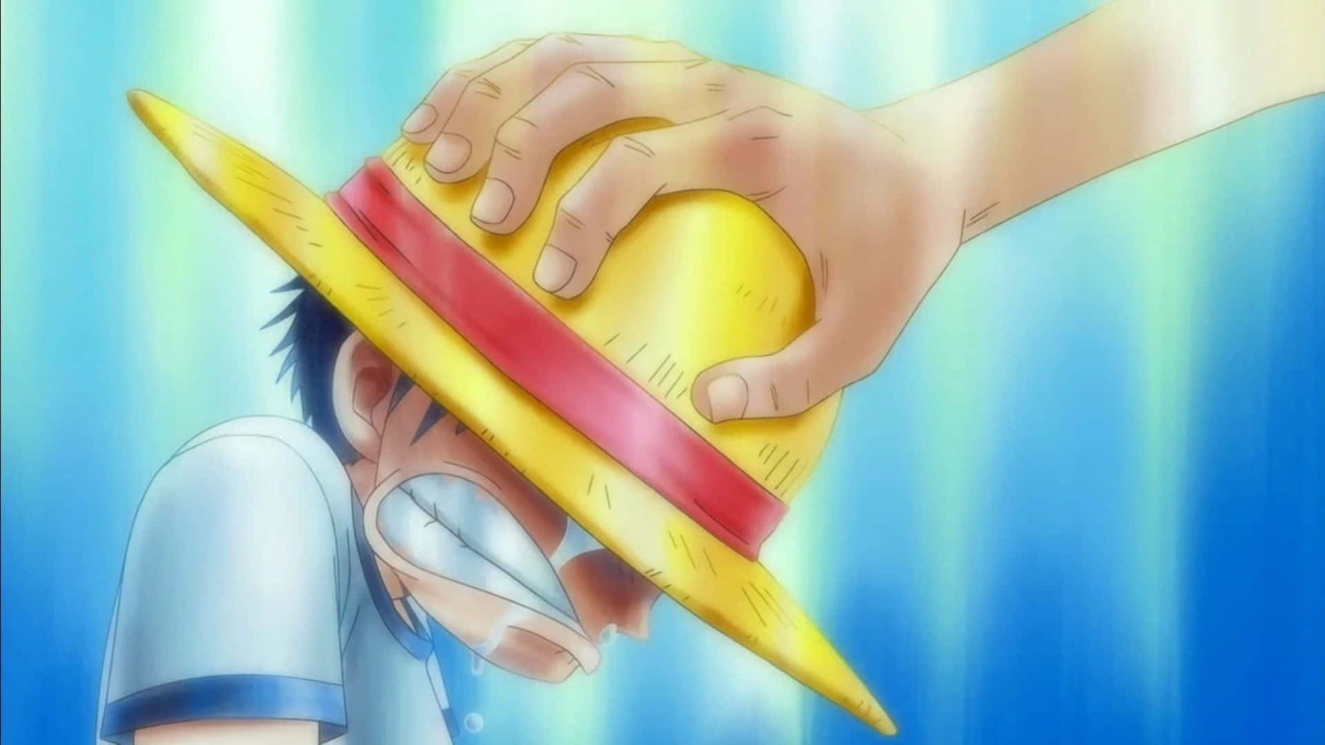 Monkey D. Luffy - Regele Piraților alechipajului Pălăriilor de Paie Fundal