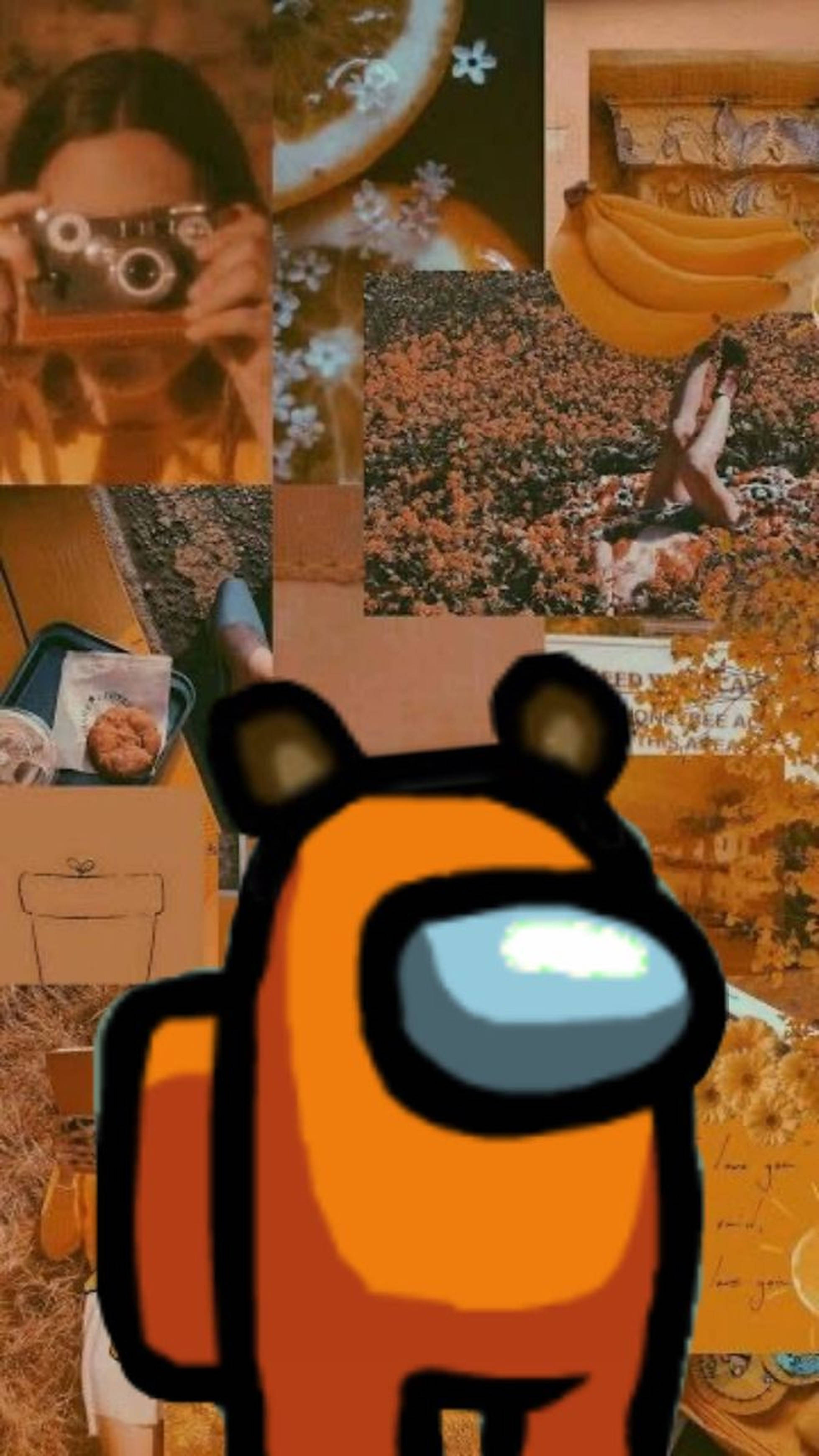 Mood Board Estetic Among US Fundal