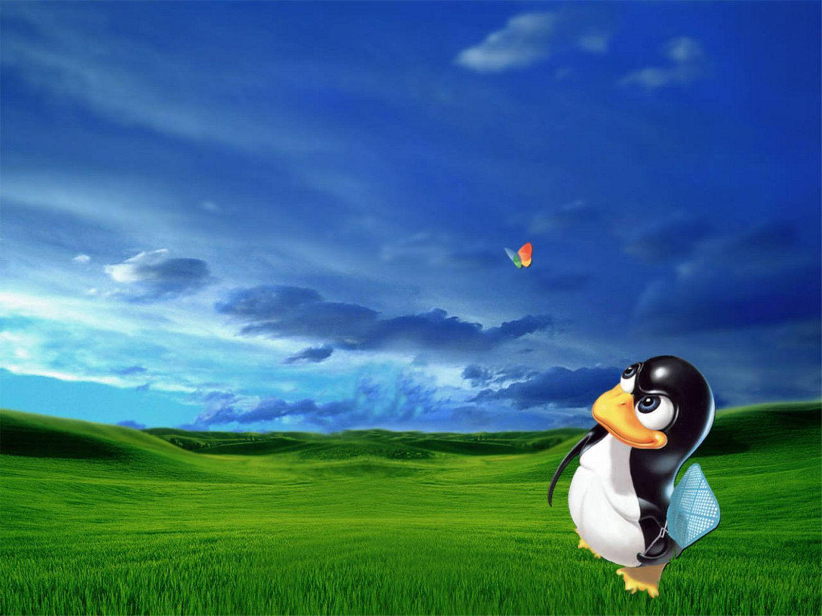 MSN Fluture cu Tux Fundal