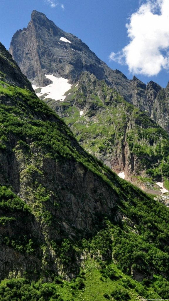 Munte Padure Natura iPhone Fundal