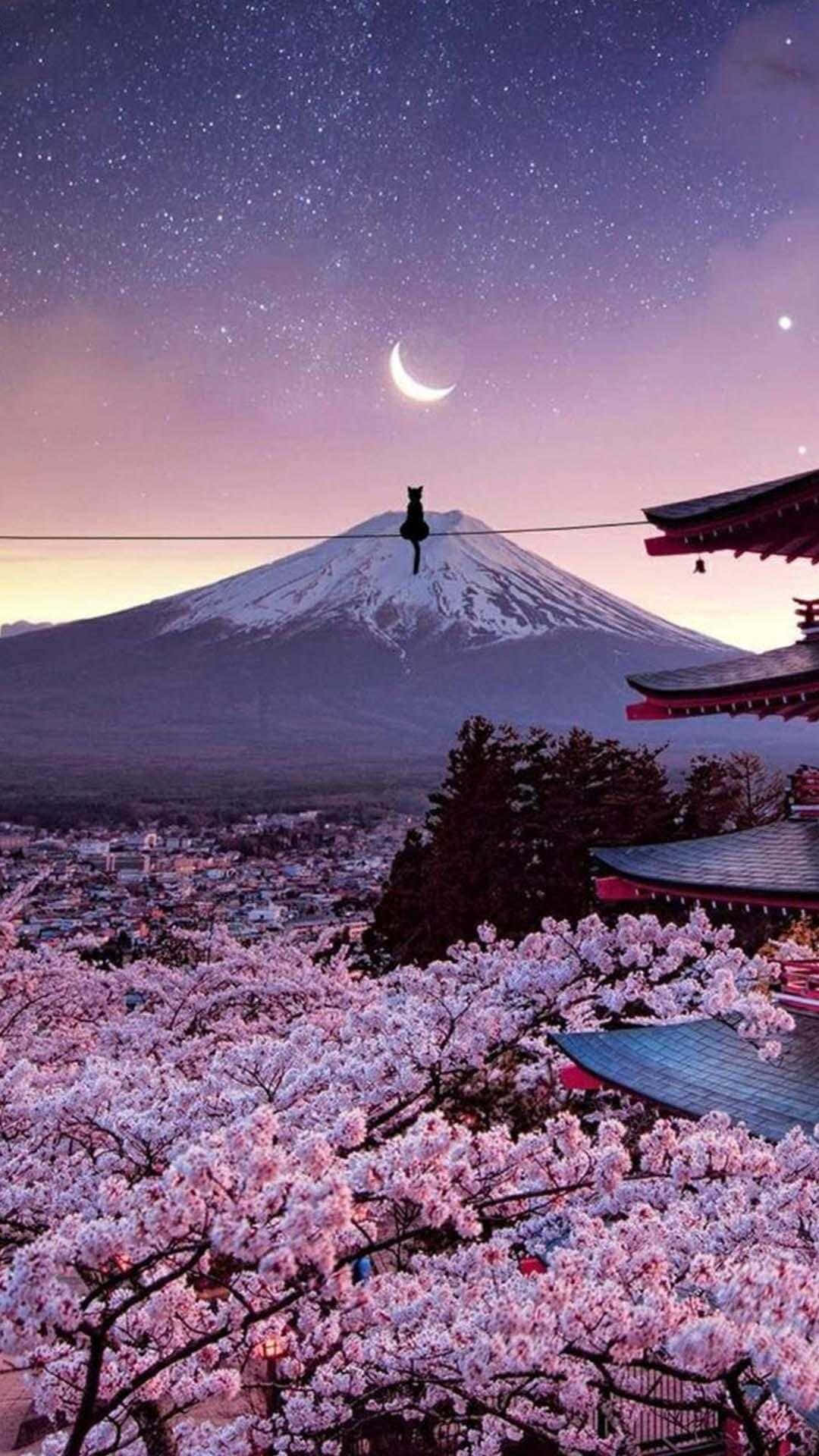Muntele Fuji și Florile de Cireș Japonez pentru iPhone Fundal