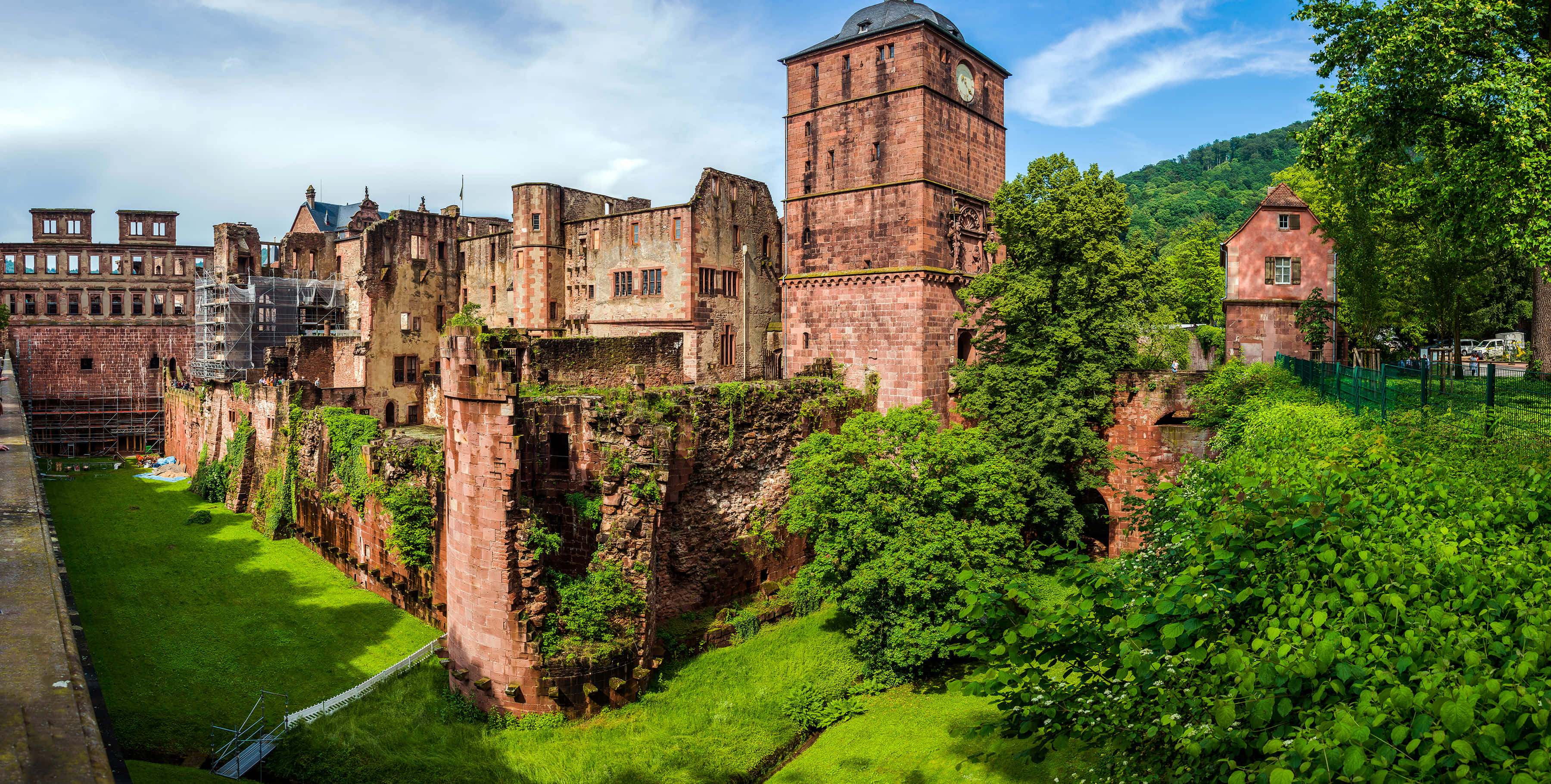 Mușchiul Verde al Castelului Heidelberg Fundal