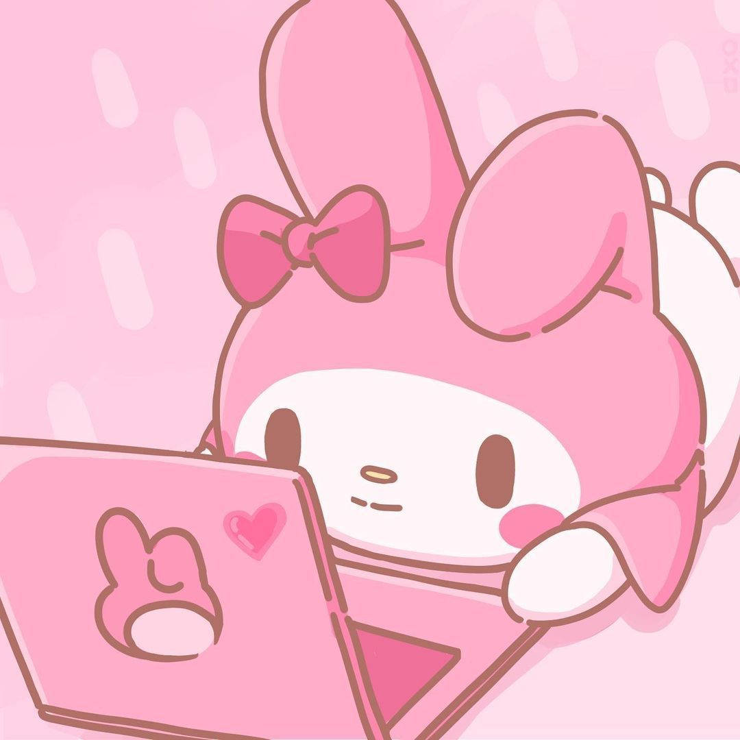 My Melody cu laptop roz PFP Fundal