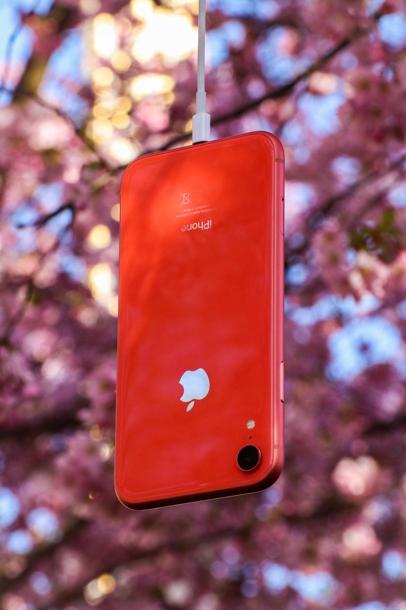 Natura iPhone Roșu Fundal