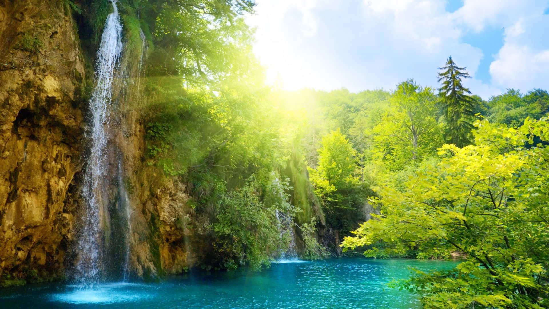 Natură Răcoritoare Pădure Lumina Soarelui Fundal