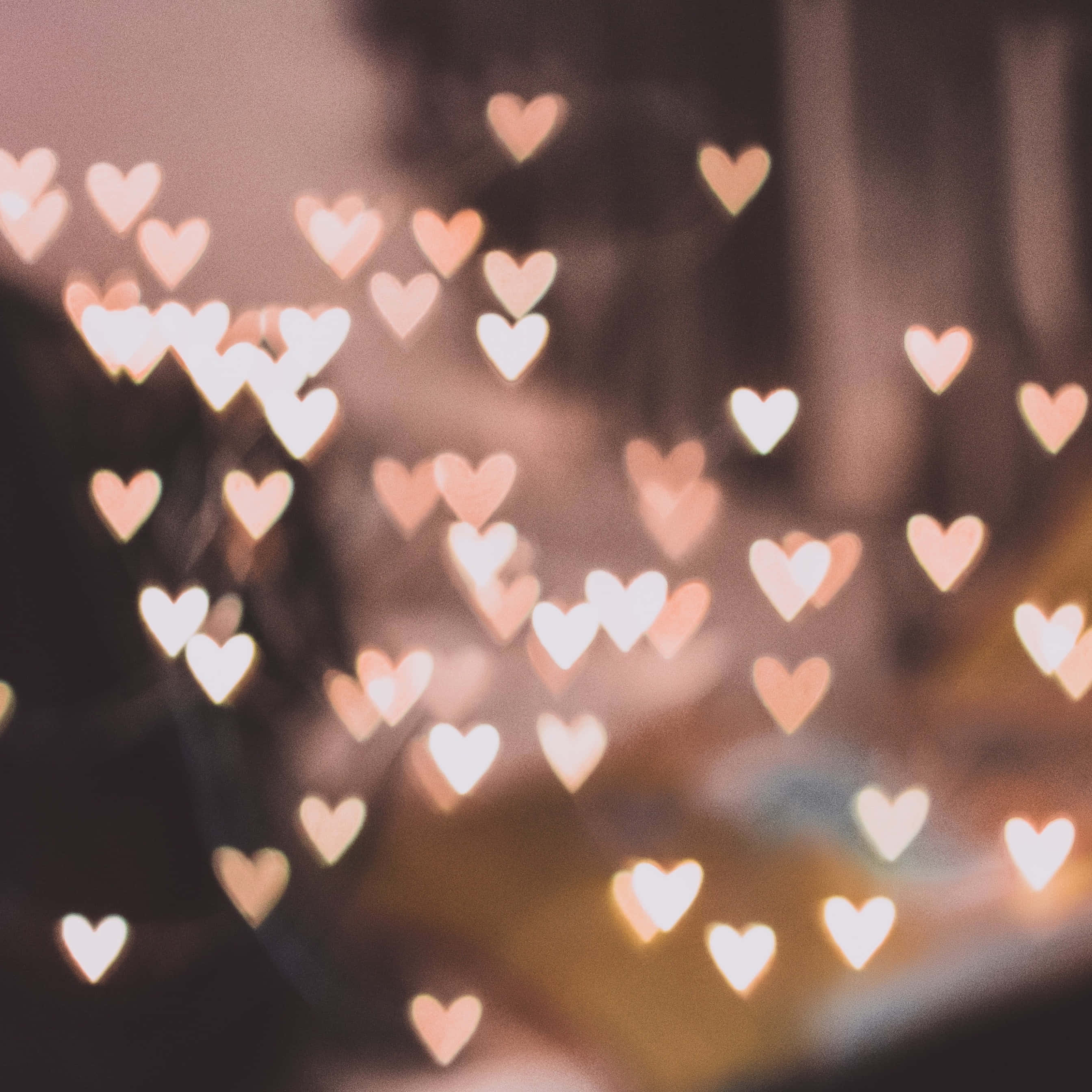 Nimic nu e mai drăguț decât o surpriză de Valentine's Day! Fundal