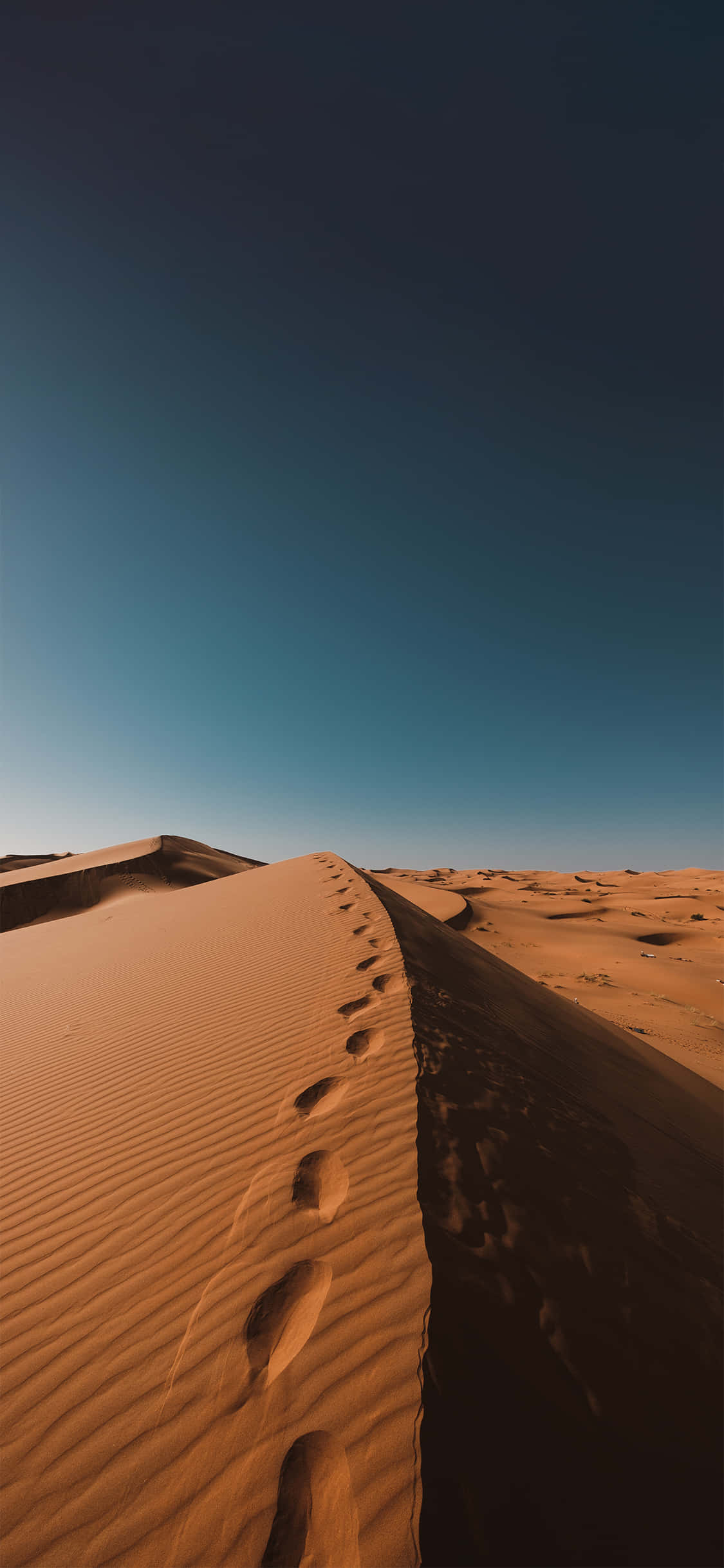 Nisip Fin Al Deșertului Sahara iPhone Fundal
