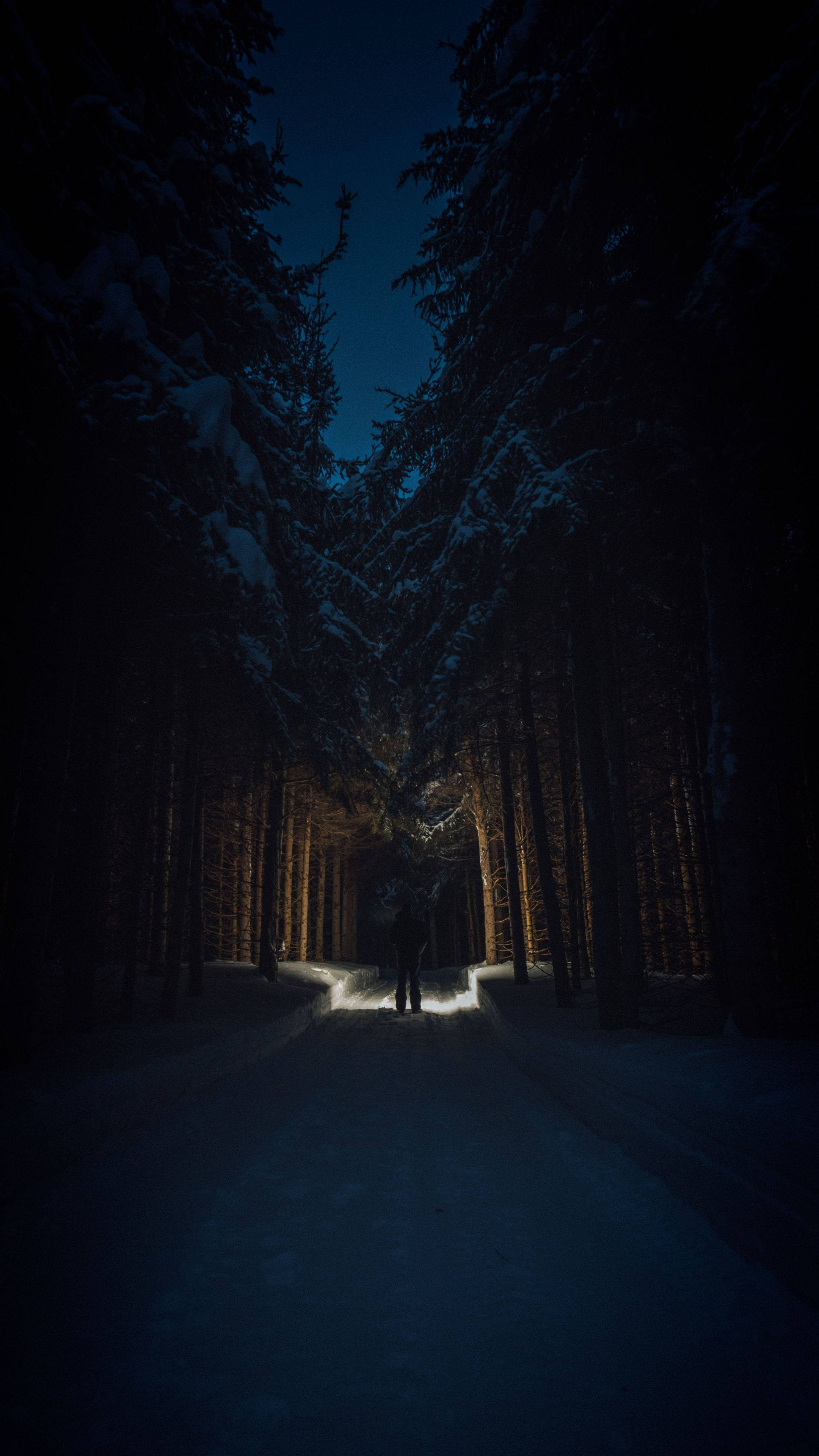 Noapte în pădure 4K Ultra HD întunecat pentru telefon Fundal