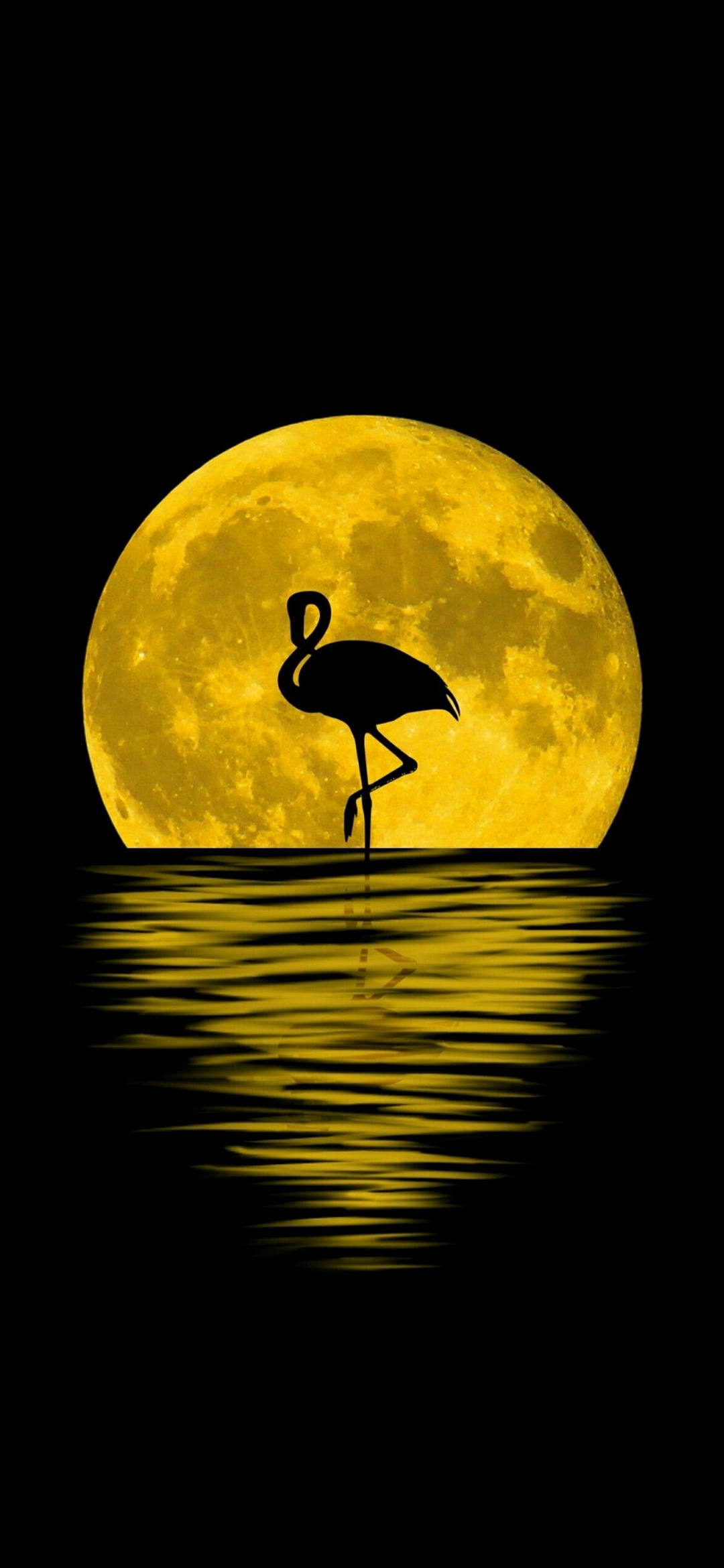 Note 10 Plus Flamingo Moon Fundal