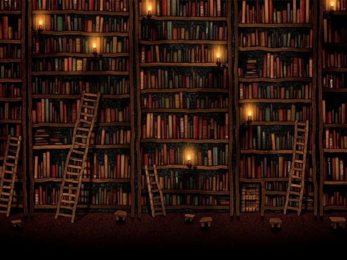 o bibliotecă cu multe cărți și scări Fundal