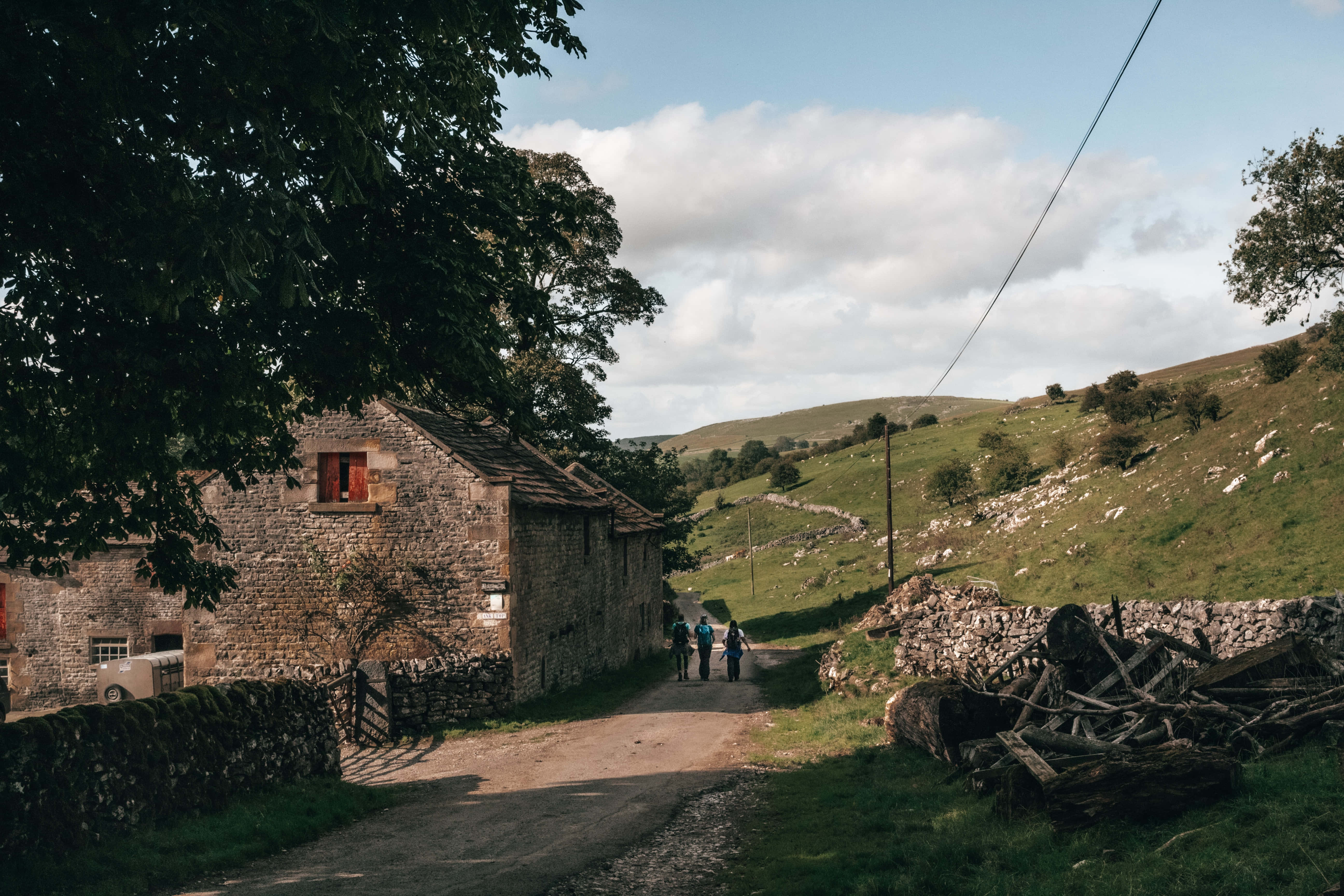 O cabană liniștită înconjurată de natură, în mijlocul pădurii Fundal