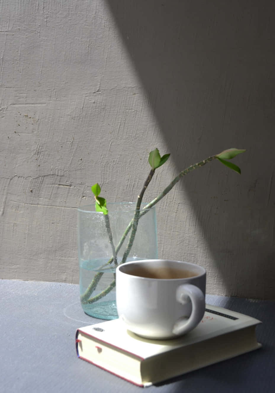 o cană de cafea și o carte pe o masă Fundal