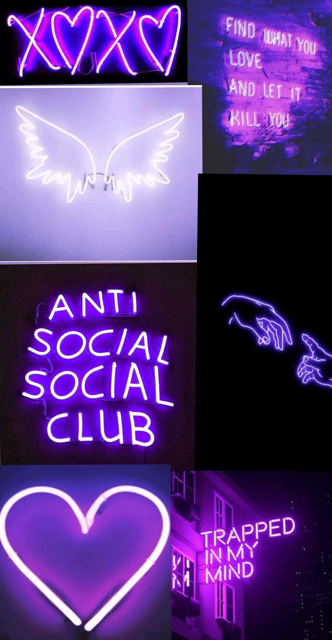 o colecție de semne neon cu cuvântul anti social club Fundal
