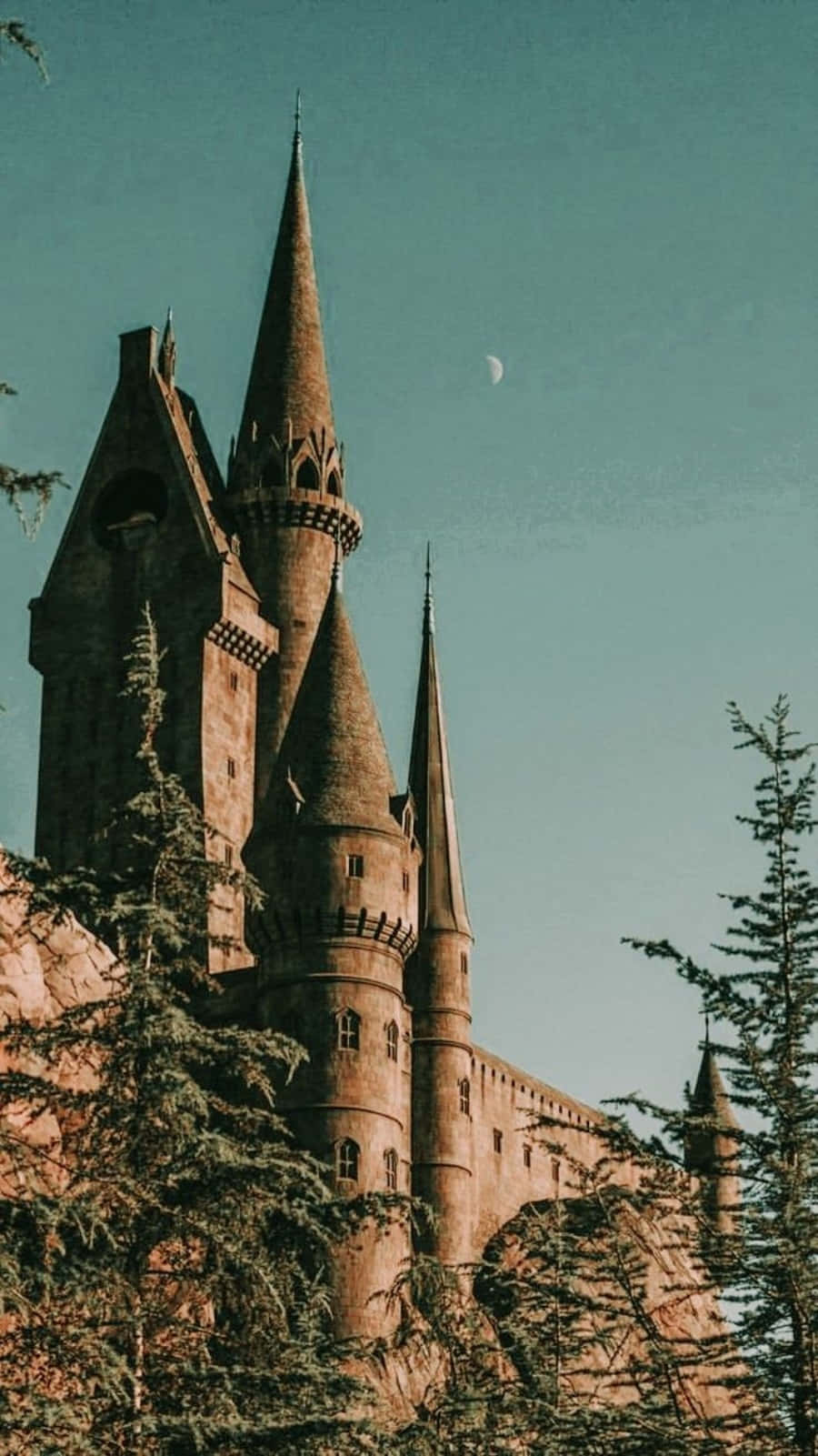 O estetică întunecată și misterioasă din lumea lui Harry Potter Fundal