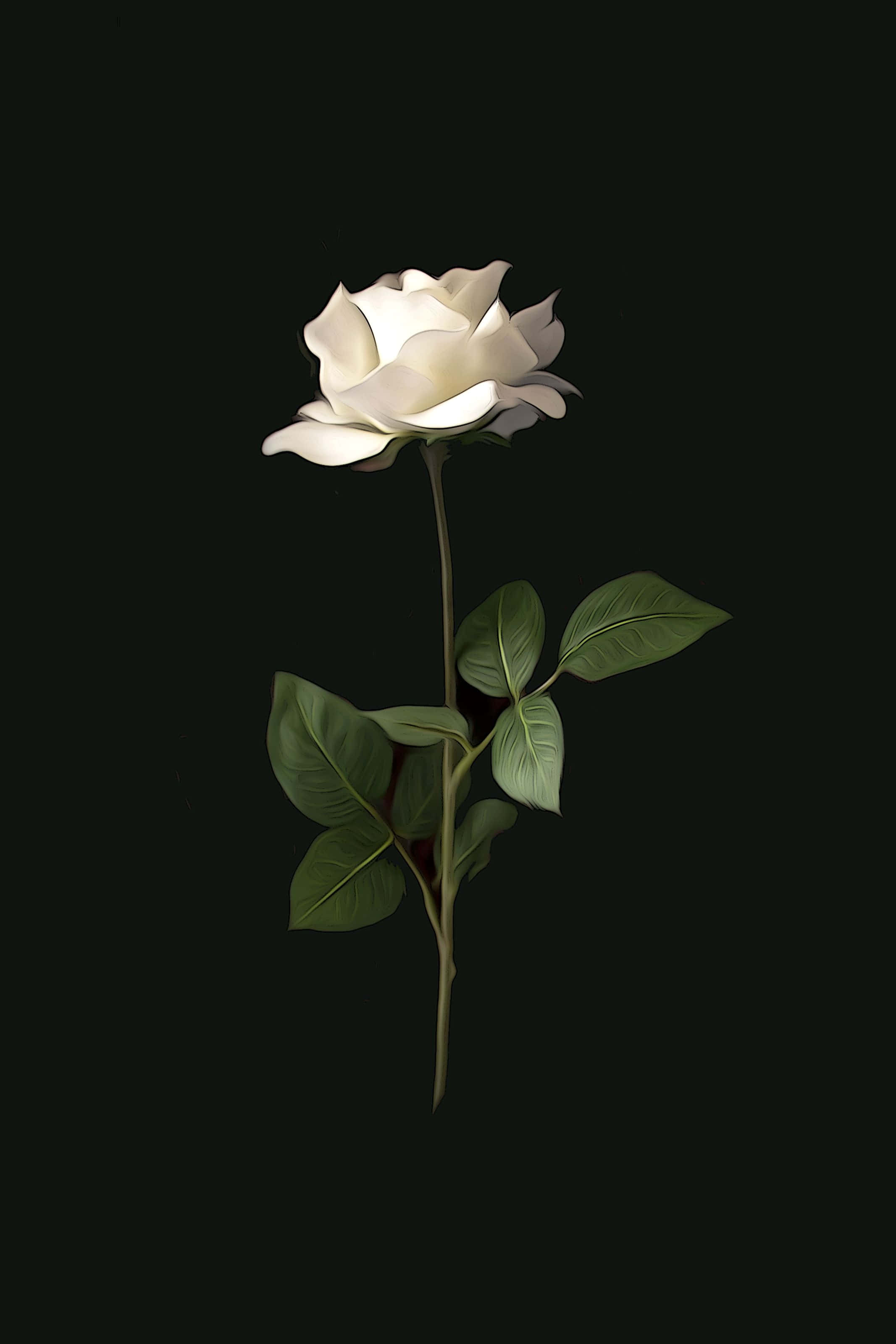 O estetică romantică cu o floare frumoasă Fundal
