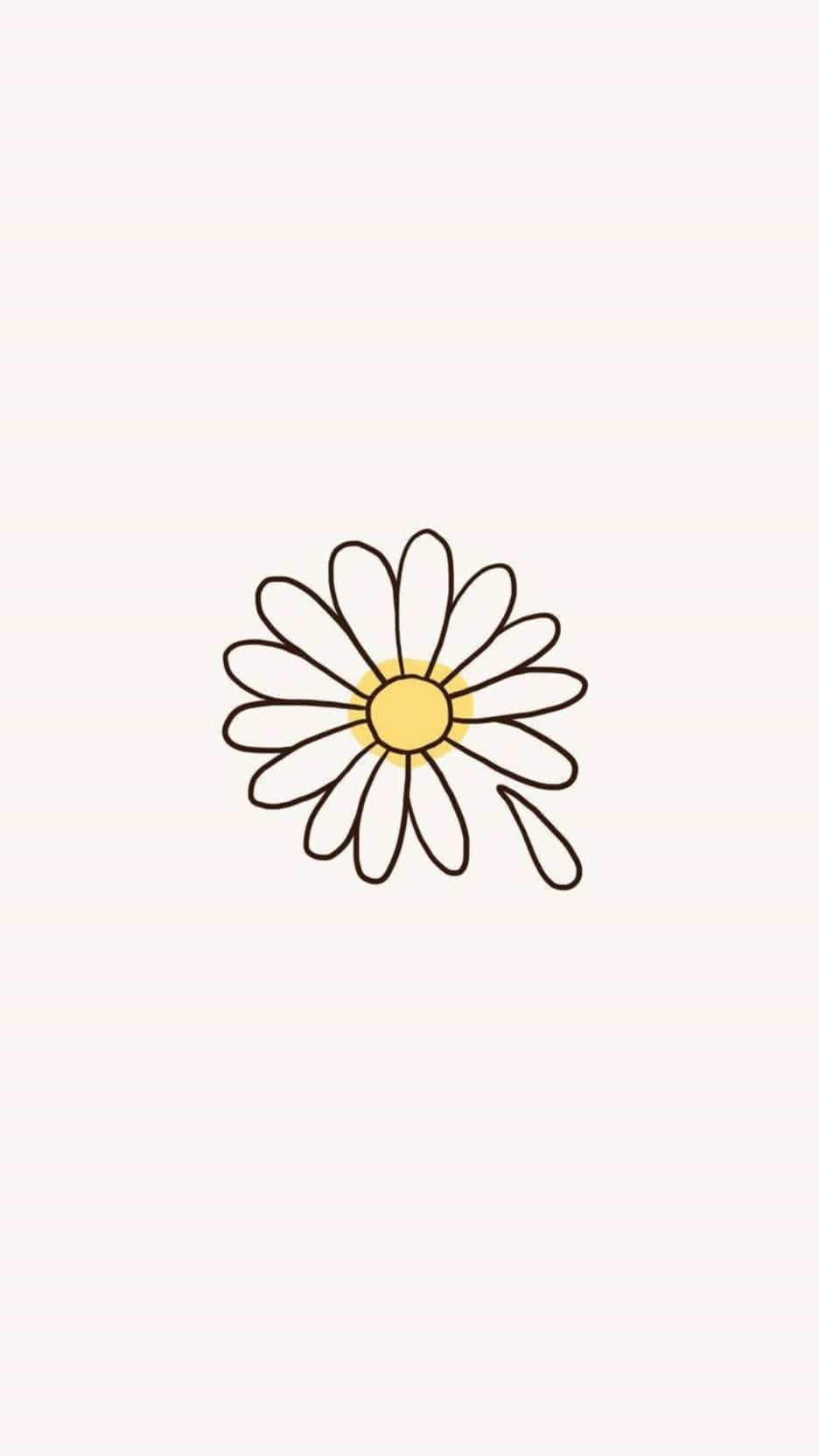 o floare de margaretă este desenată pe un fundal alb Fundal