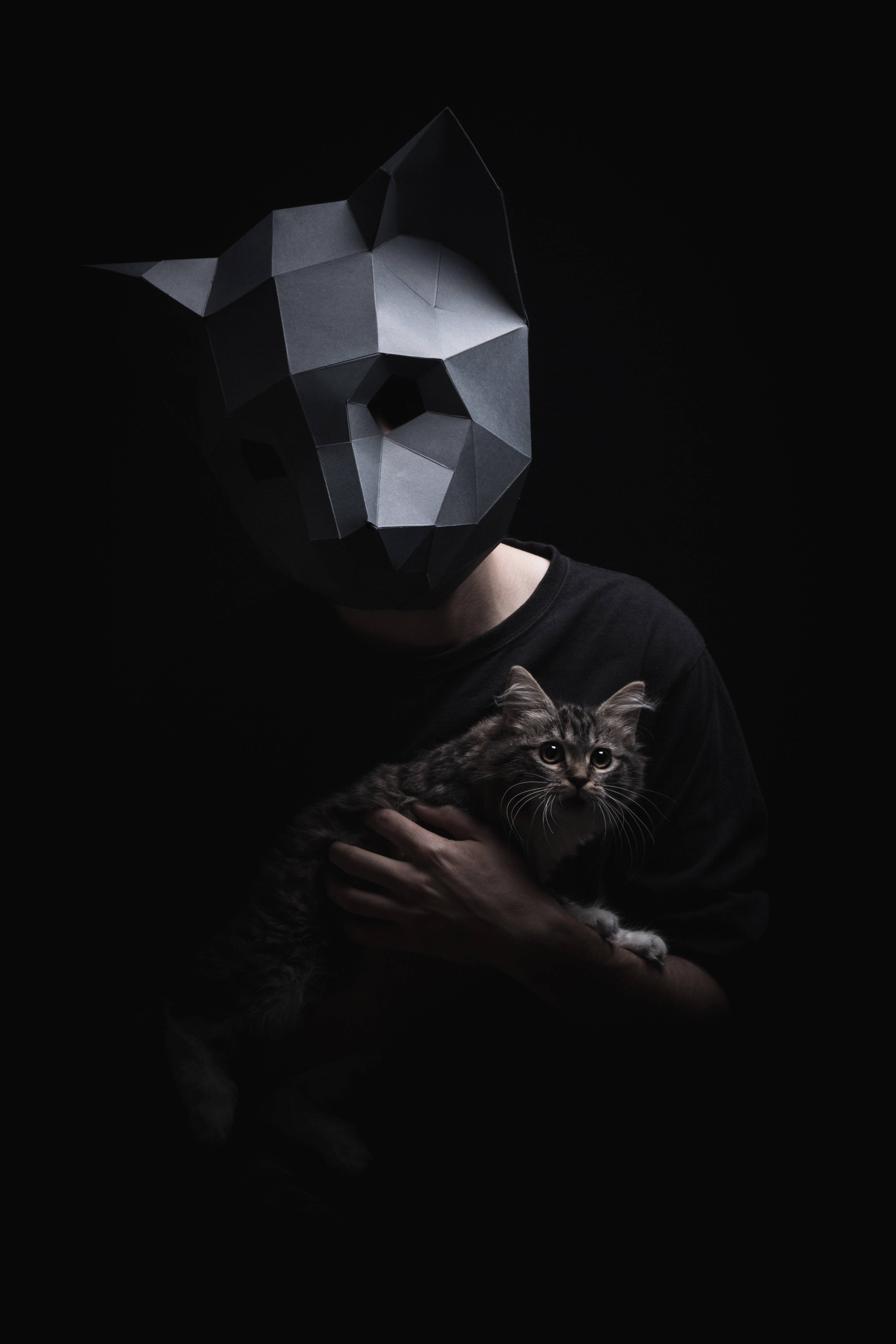 O mască de pisică 3D low-poly distractivă și unică Fundal